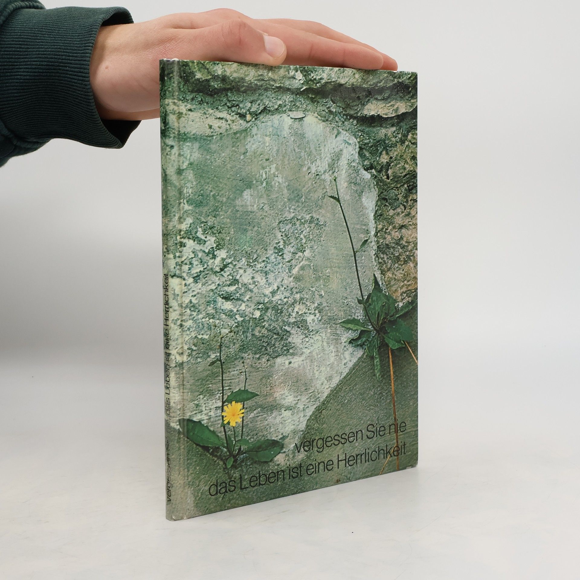 Oswald Kettenberger Vergessen Sie nie, das Leben ist eine Herrlichkeit