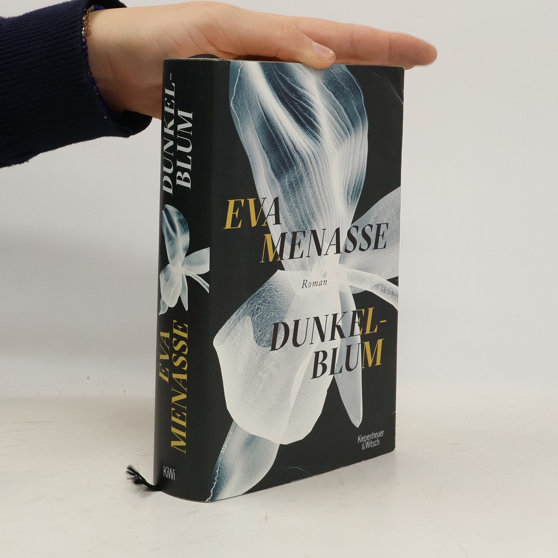 Eva Menasse Dunkelblum