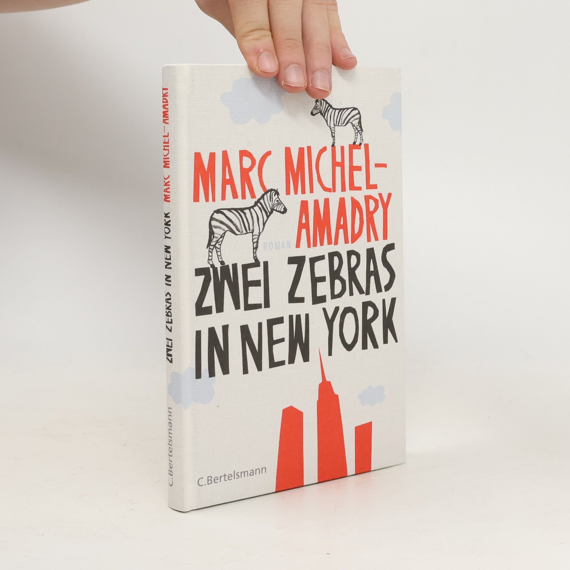 Marc Michel-Amadry Zwei Zebras in New York