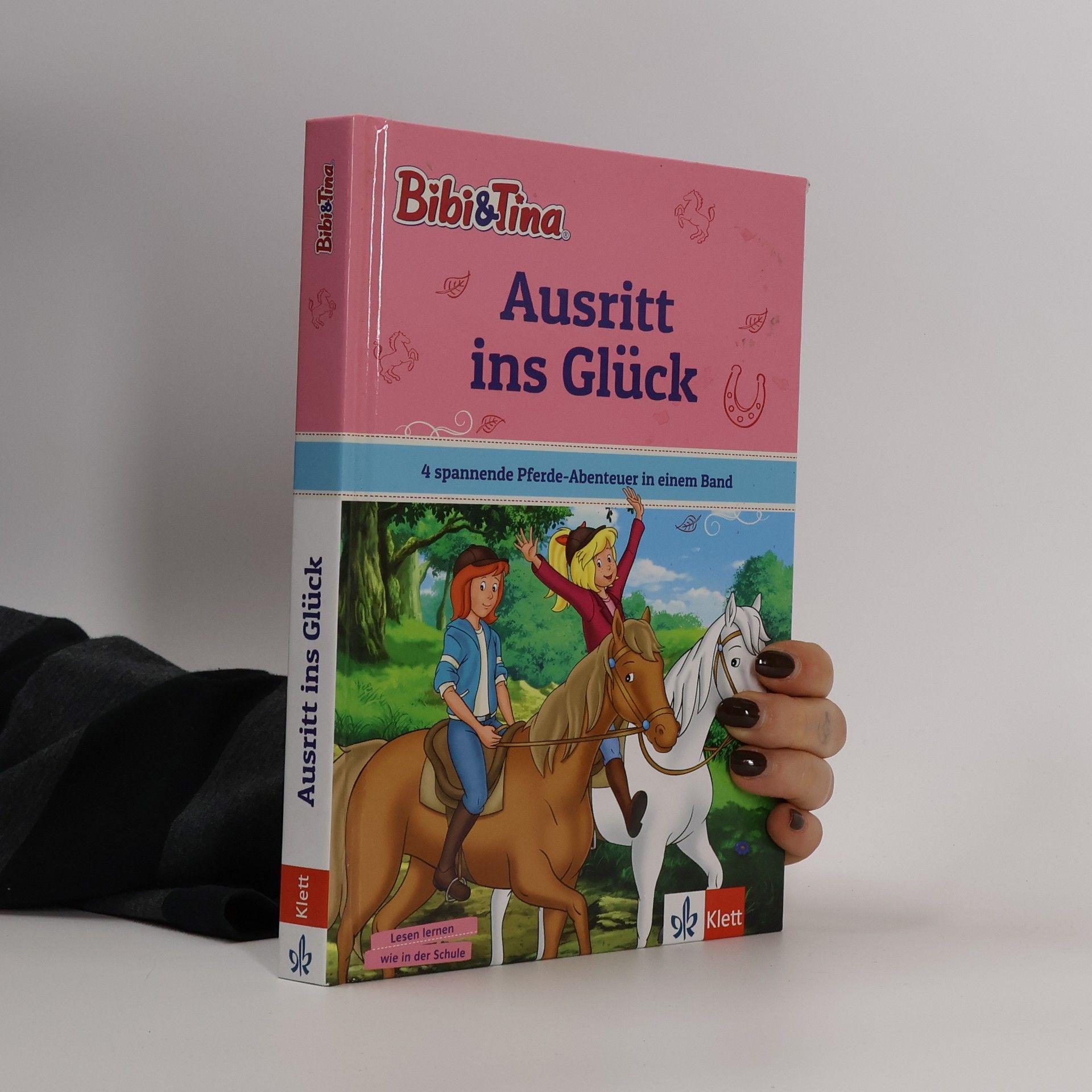 Collectif d'auteurs Bibi & Tina: Ausritt ins Glück