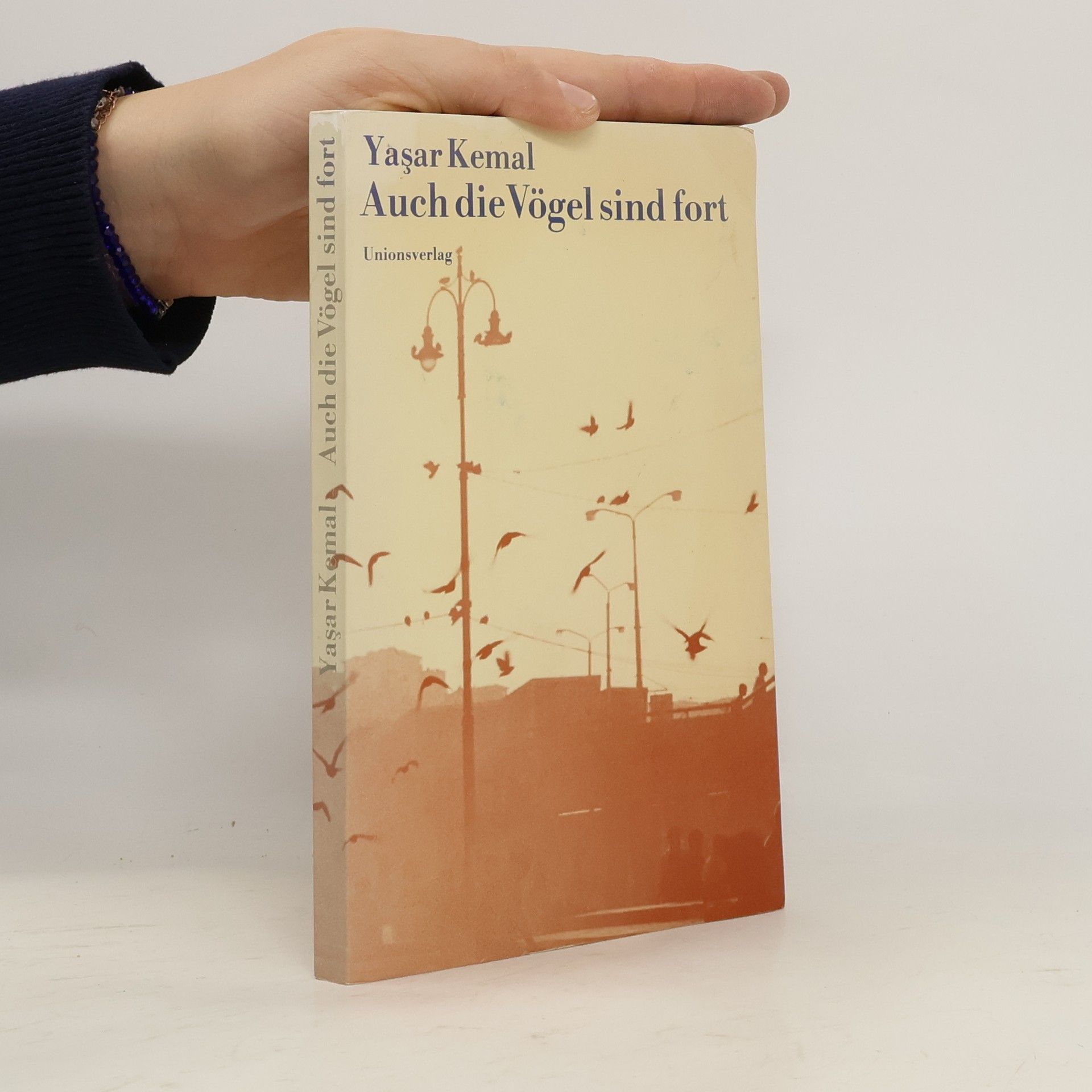 Yaşar Kemal Auch die Vögel sind fort