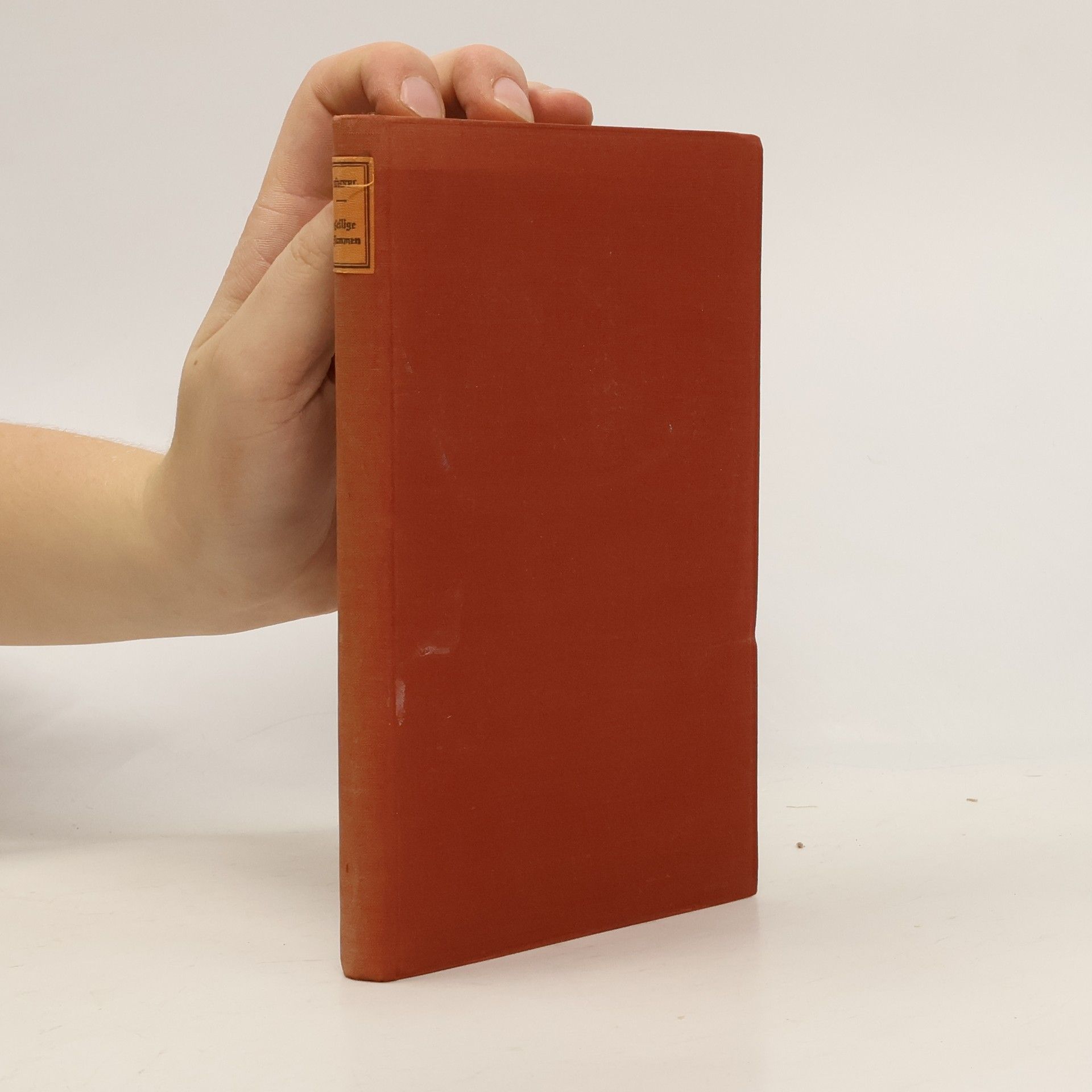 Joseph Kühnel Von heiligen Flammen