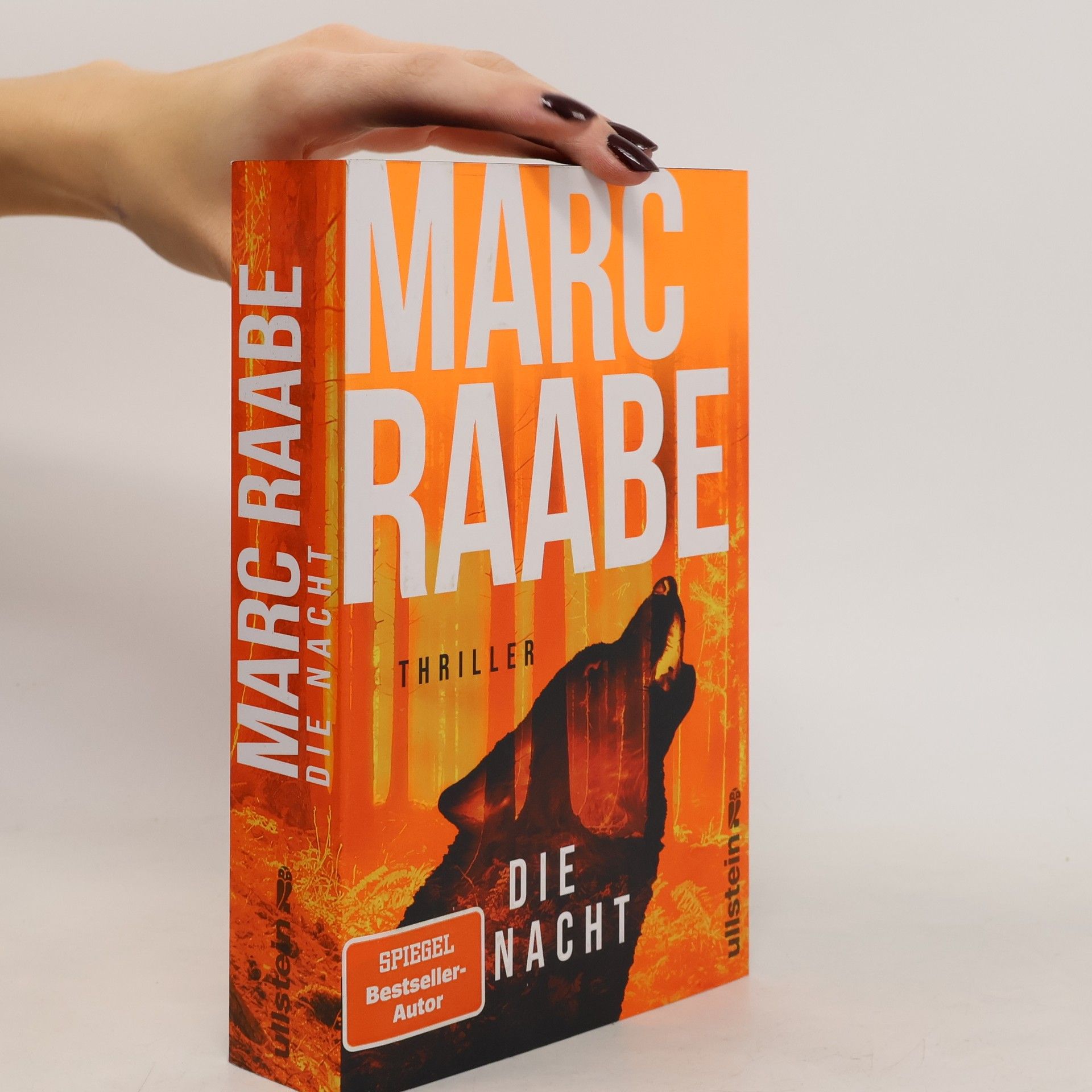 Marc Raabe Die Nacht