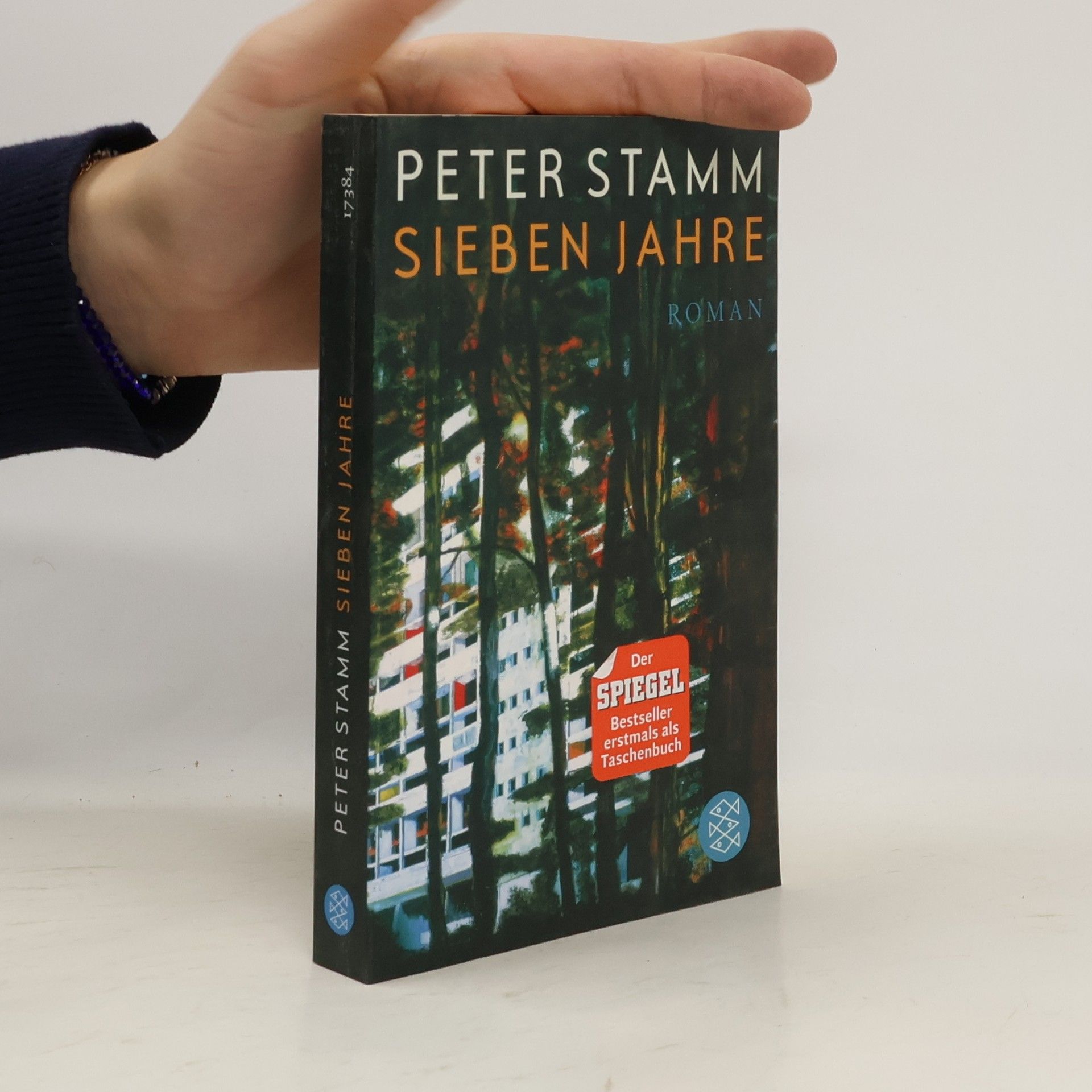 Peter Stamm Sieben Jahre