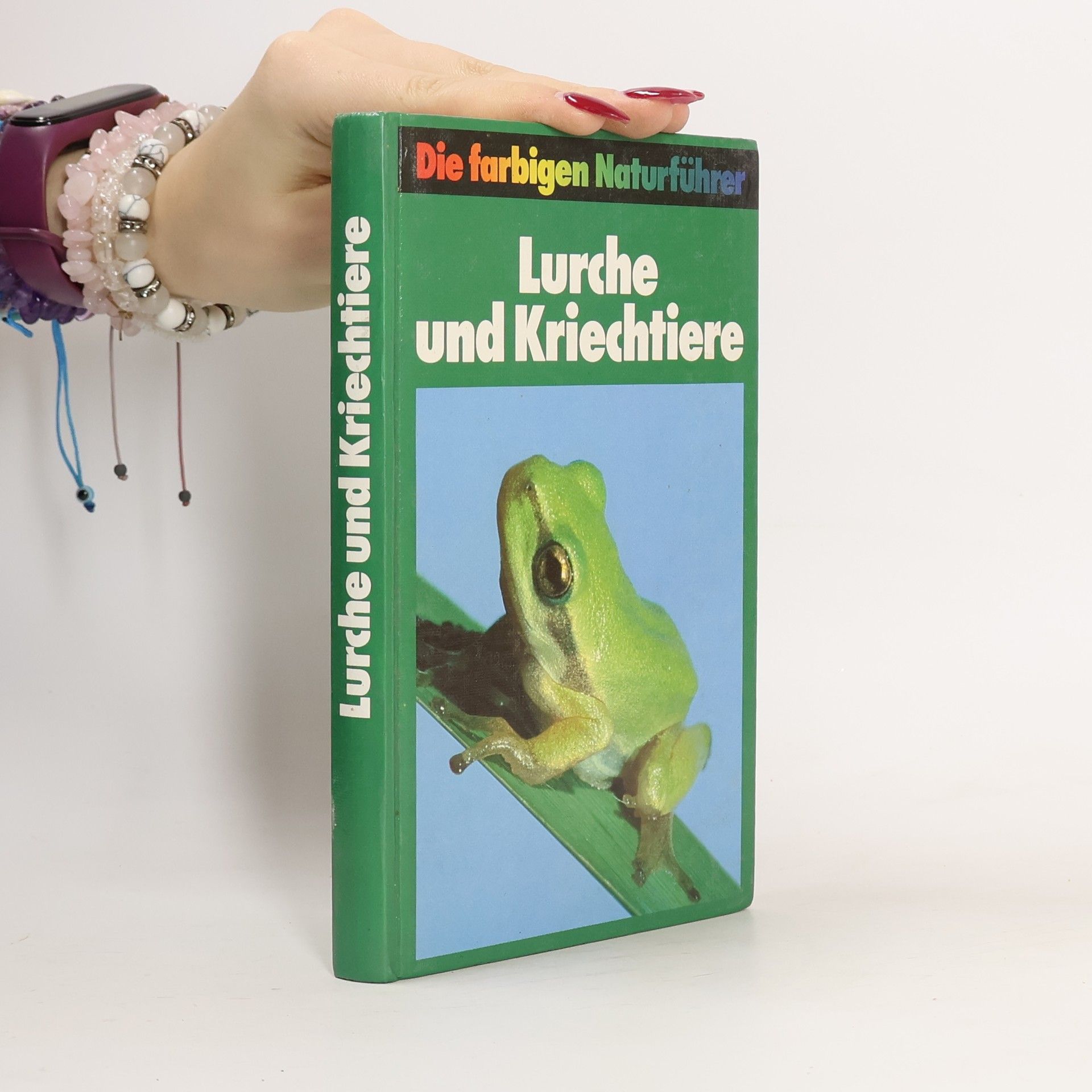 Autorenkollektiv Lurche und Kriechtiere