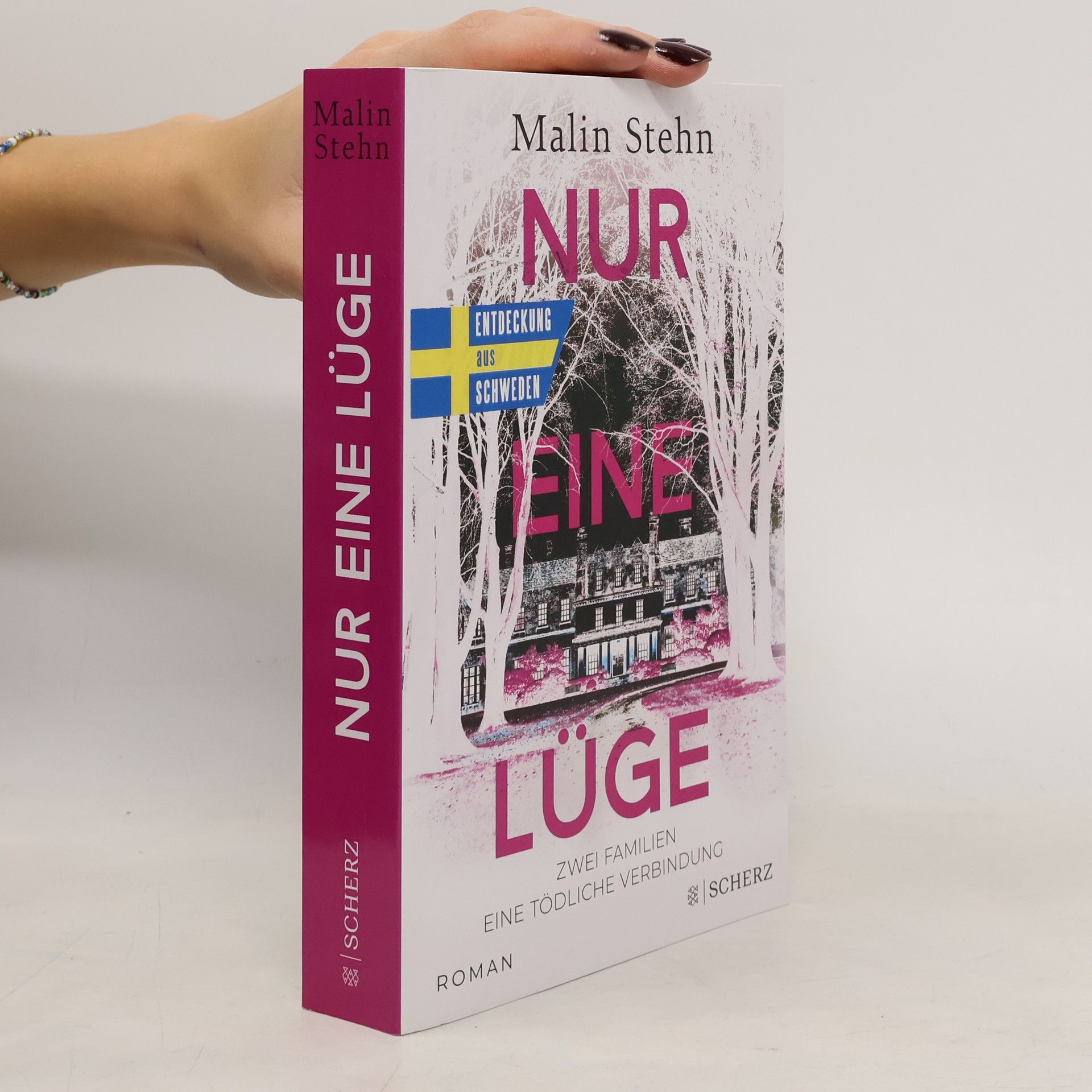 Malin Stehn Nur eine Lüge – Zwei Familien, eine tödliche Verbindung