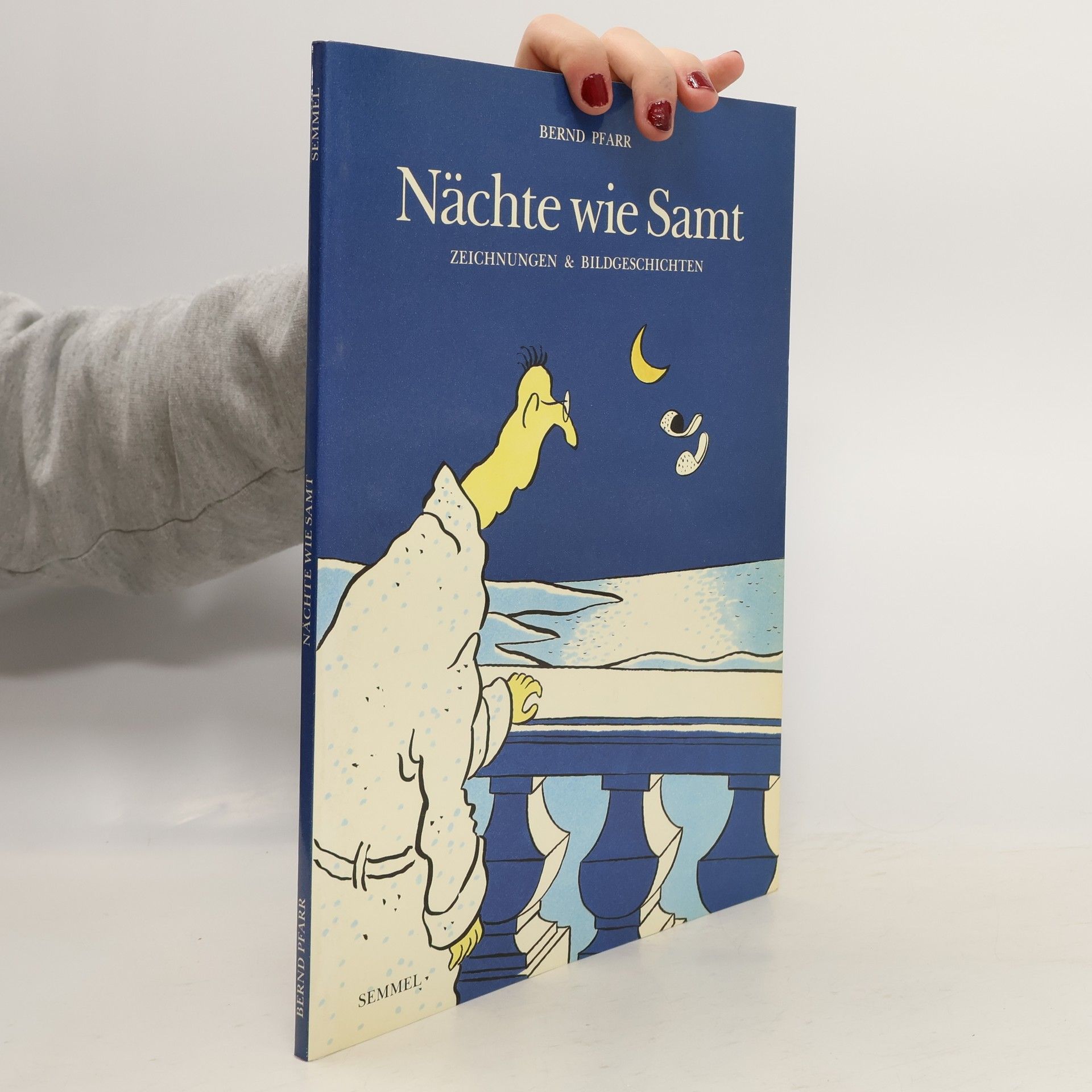 Autorenkollektiv Nächte wie Samt