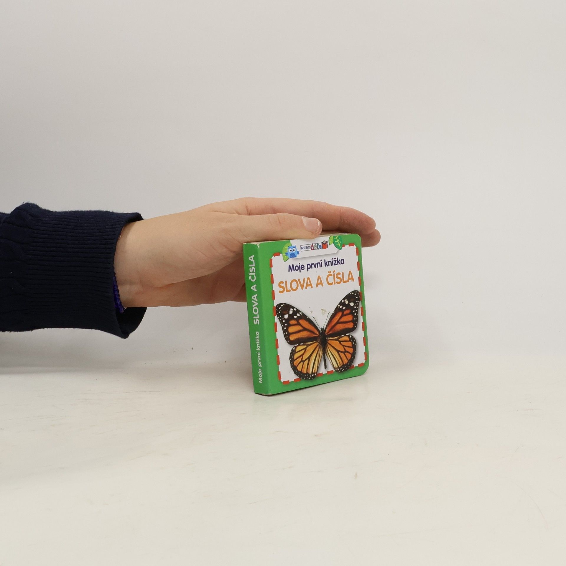 AA.VV. Moje první knížka: Slova a čísla