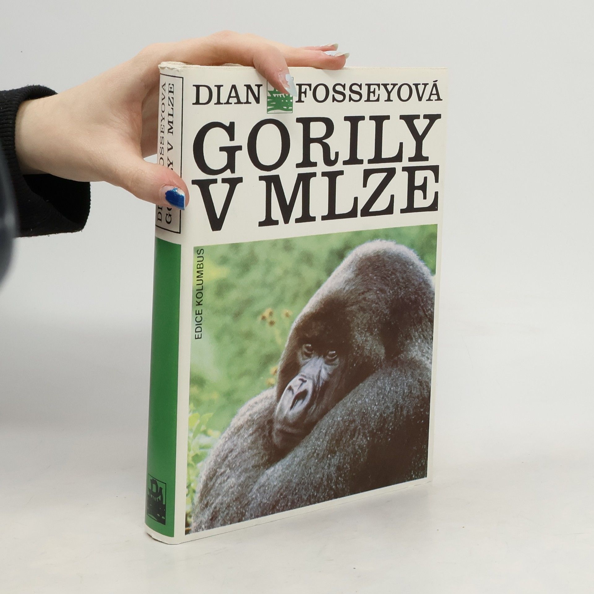 Dian Fossey Gorily v mlze