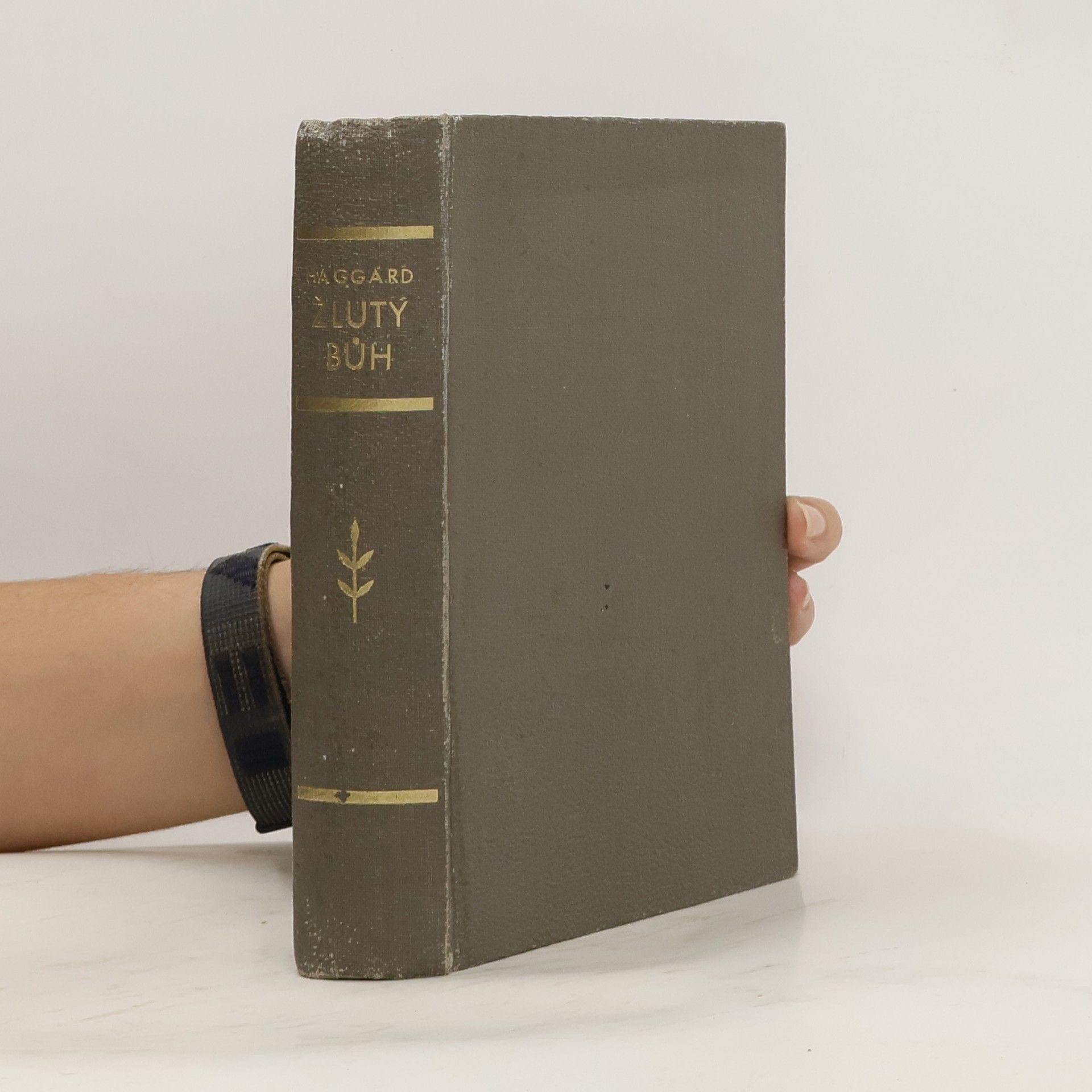 H. Rider Haggard Žlutý bůh