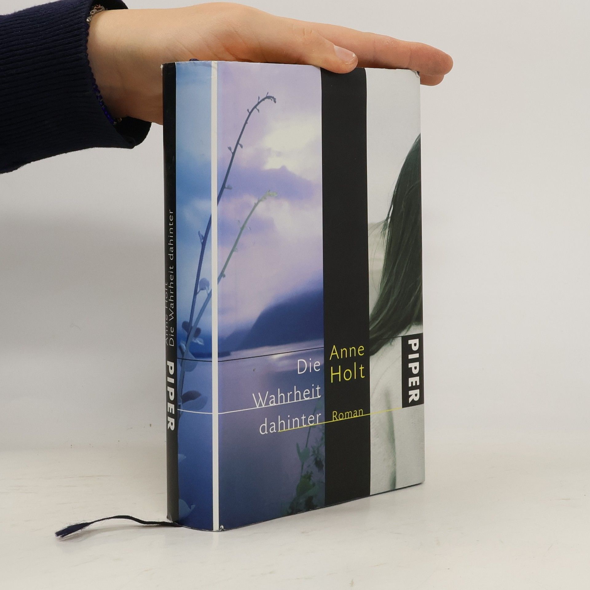 Anne Holt Die Wahrheit dahinter