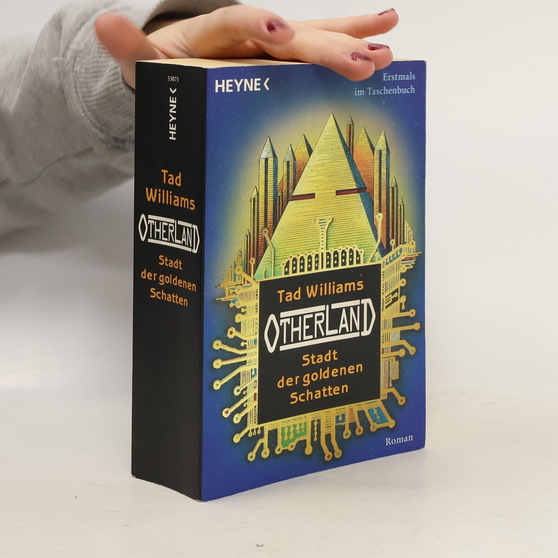 Tad Williams Otherland 1