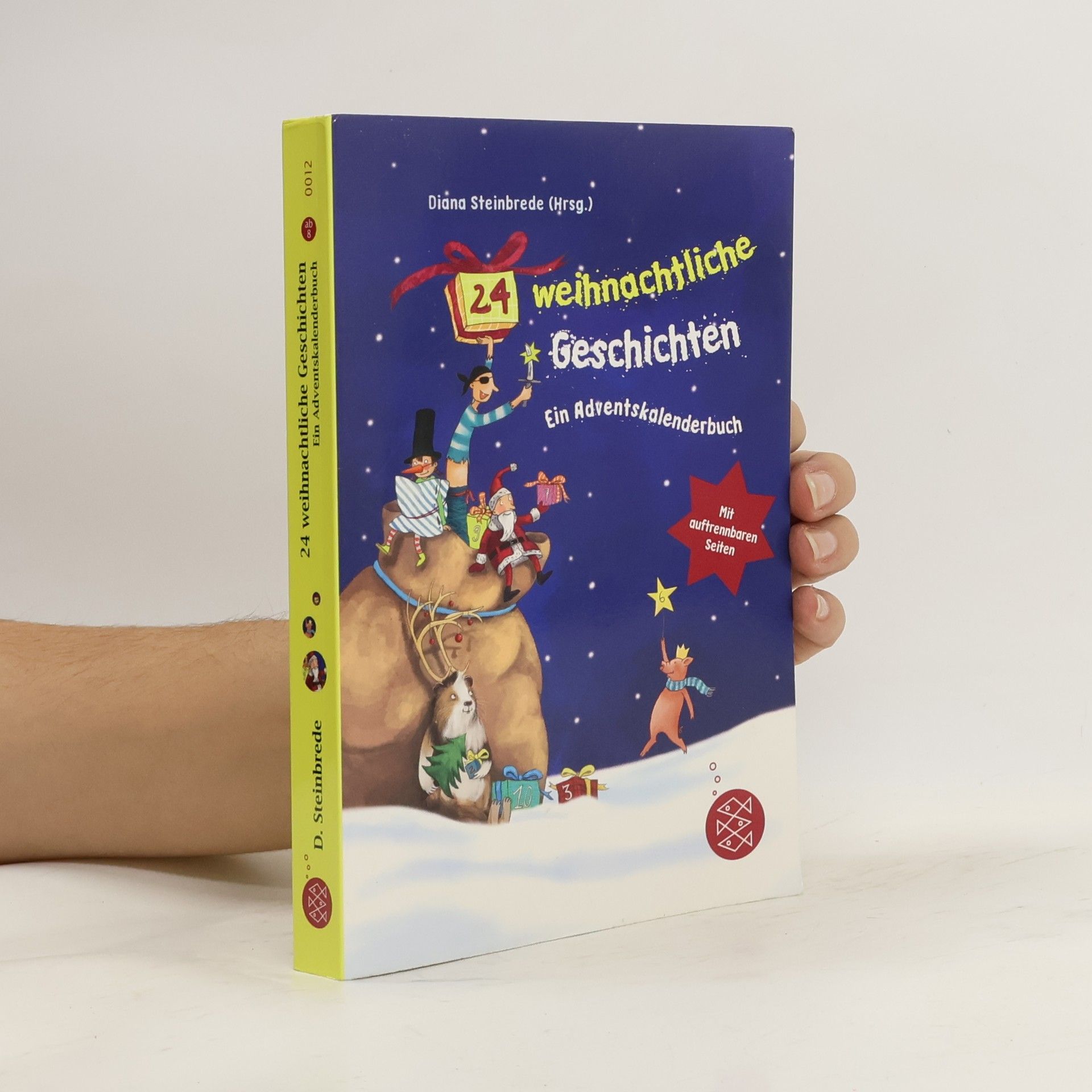 Diana Steinbrede 24 weihnachtliche Geschichten. Ein Adventskalenderbuch