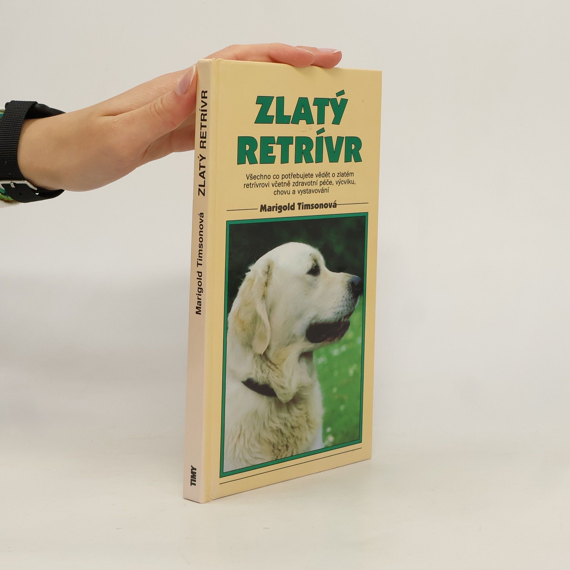 Marigold Timson Zlatý retriever