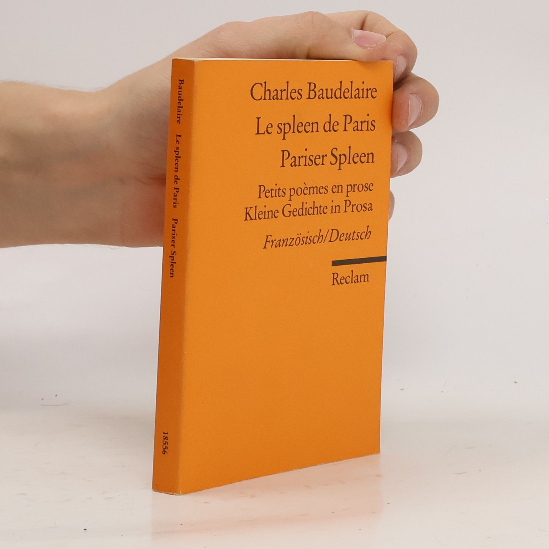 Charles Baudelaire Pariser Spleen. Le spleen de Paris