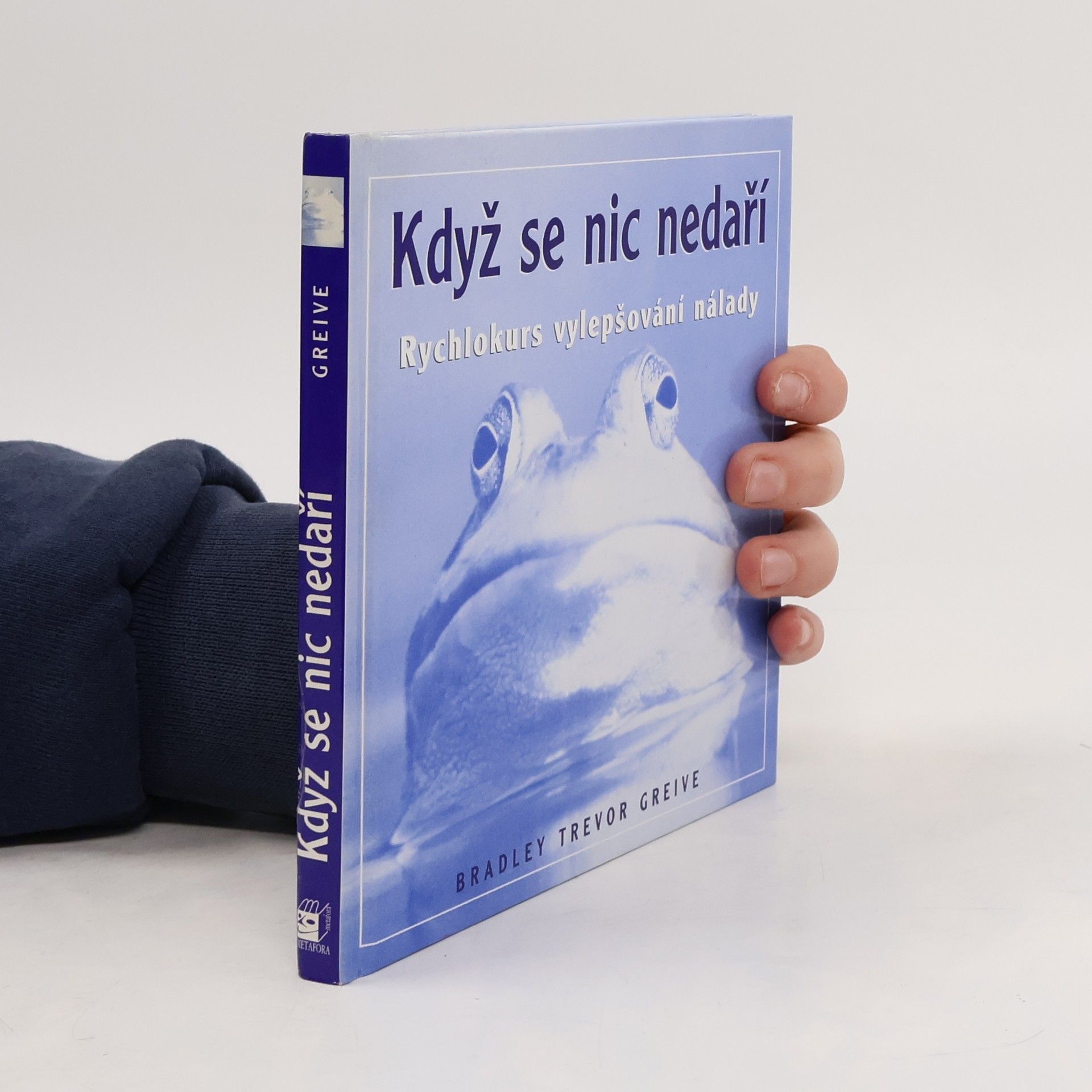 Bradley Trevor Greive Když se nic nedaří. Rychlokurs vylepšování nálady