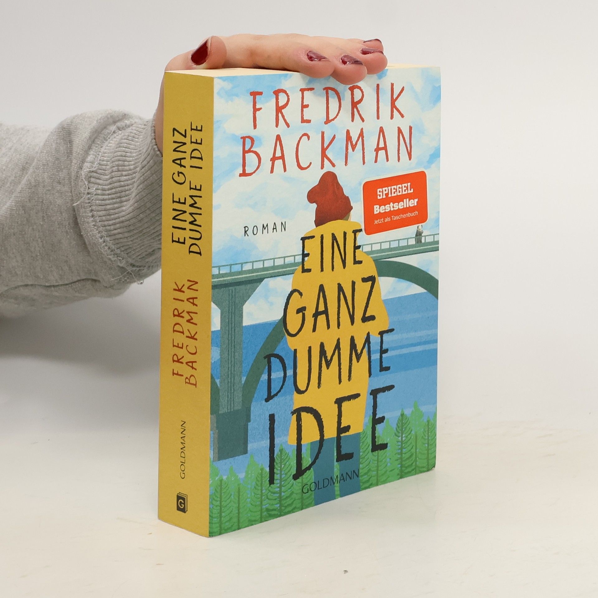 Fredrik Backman Eine ganz dumme Idee