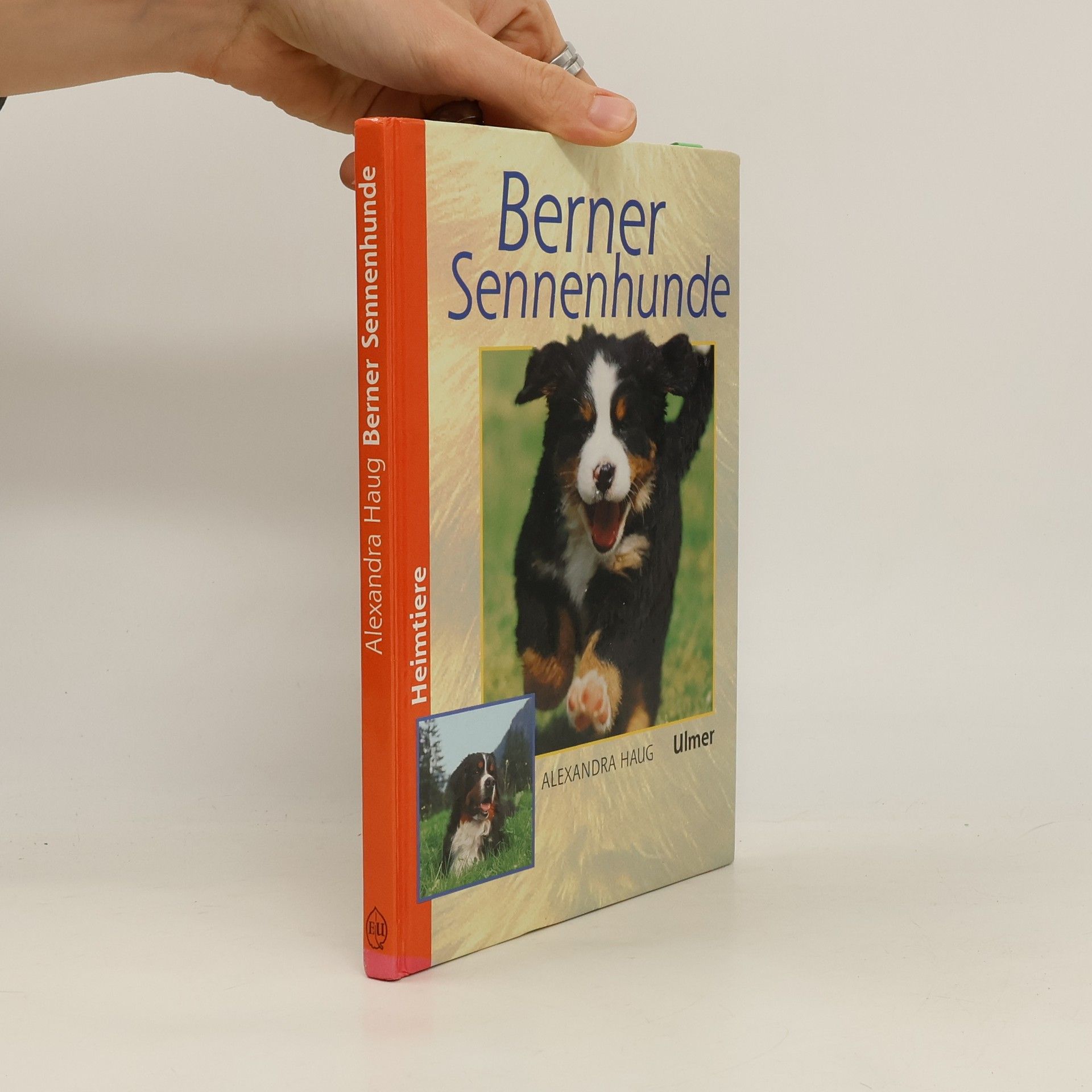 Alexandra Haug Berner Sennenhunde