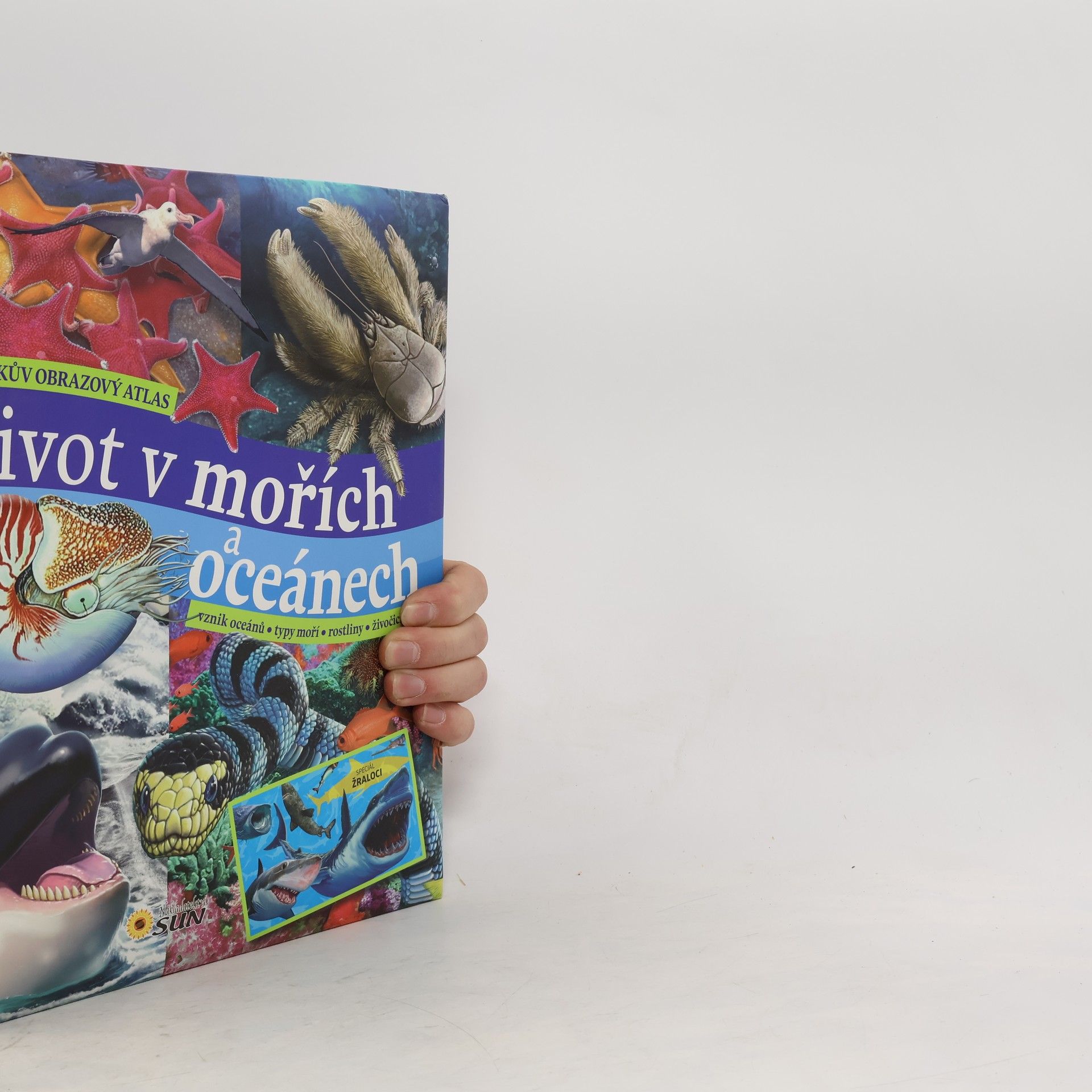 Život v mořích a oceánech