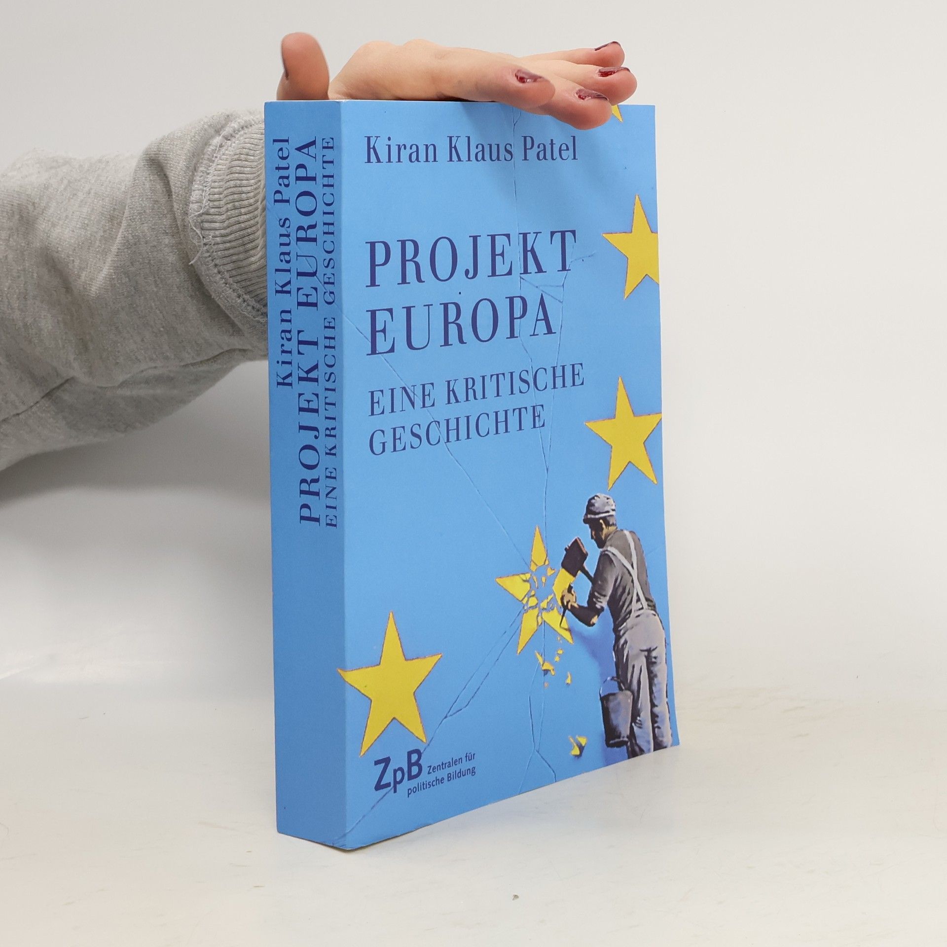 Kiran Klaus Patel Projekt Europa