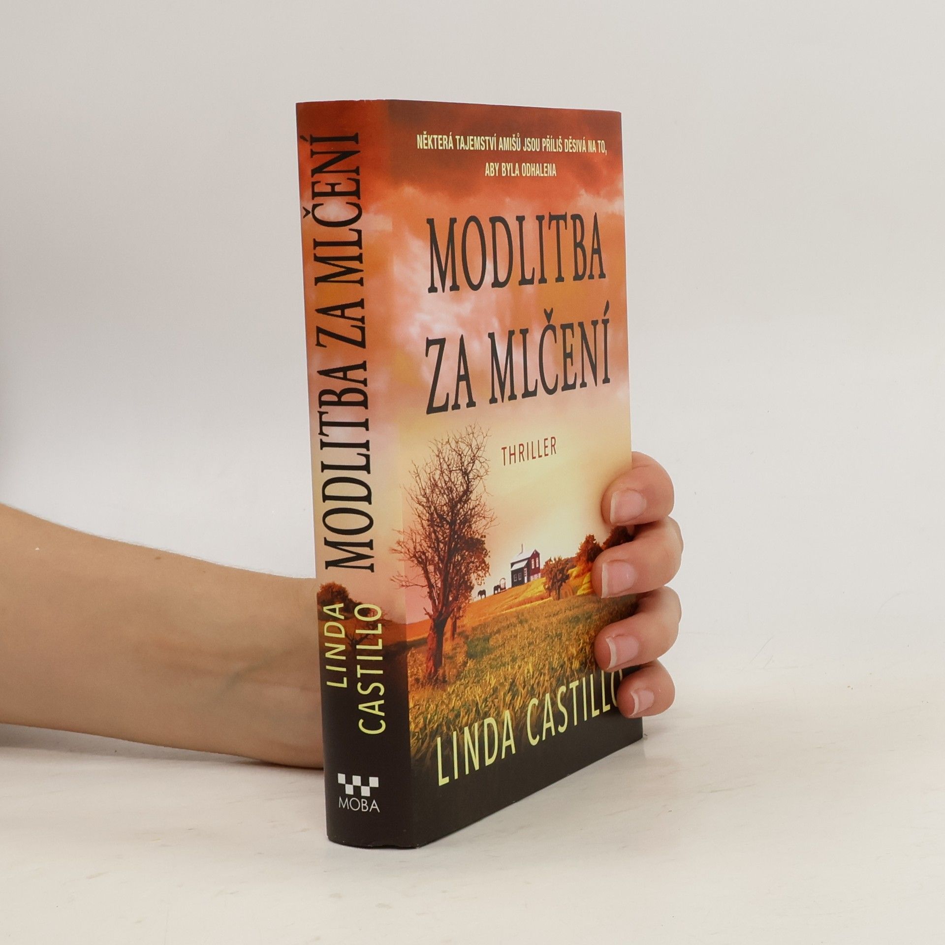 Linda Castillo Modlitba za mlčení