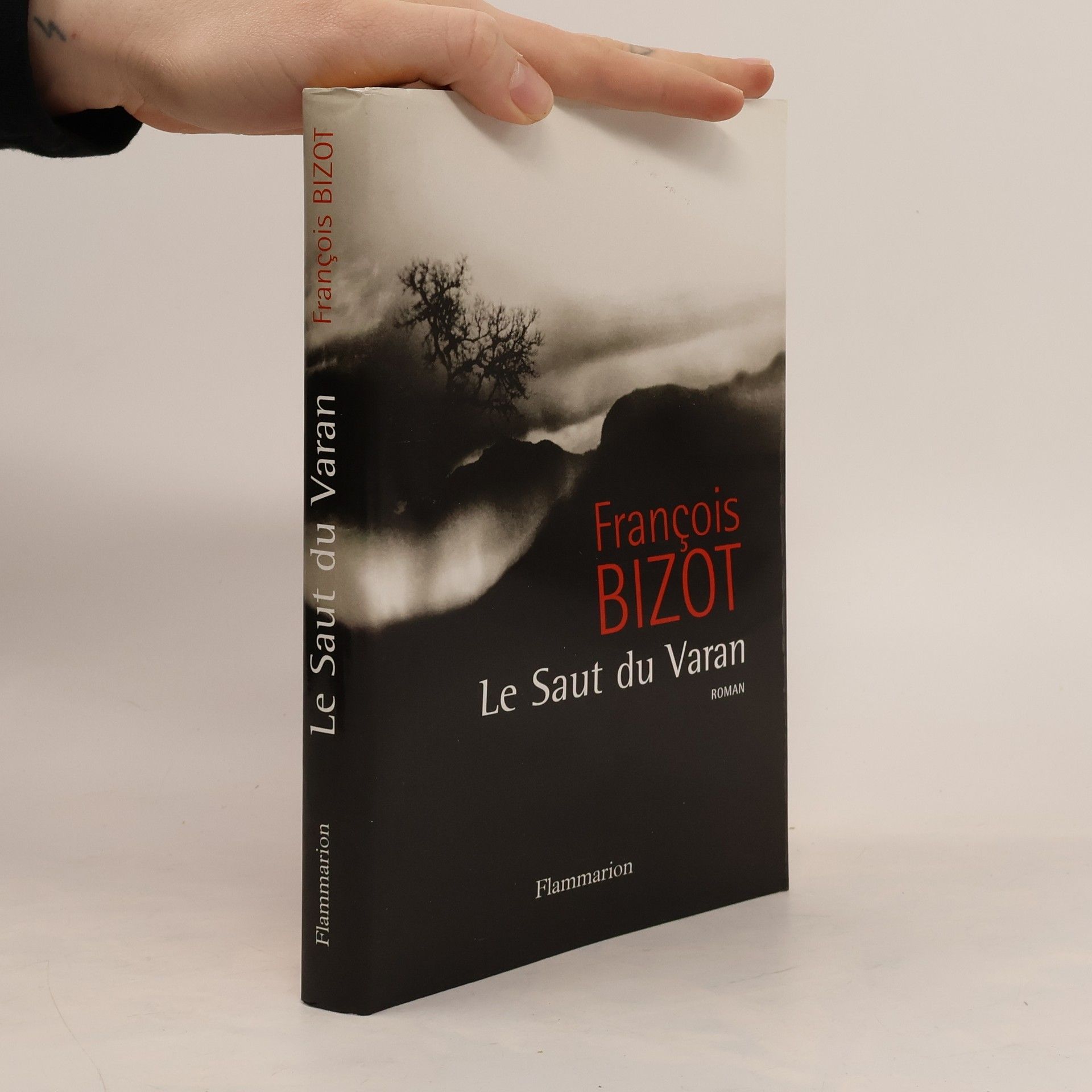 Franc ois Bizot Le Saut du Varan