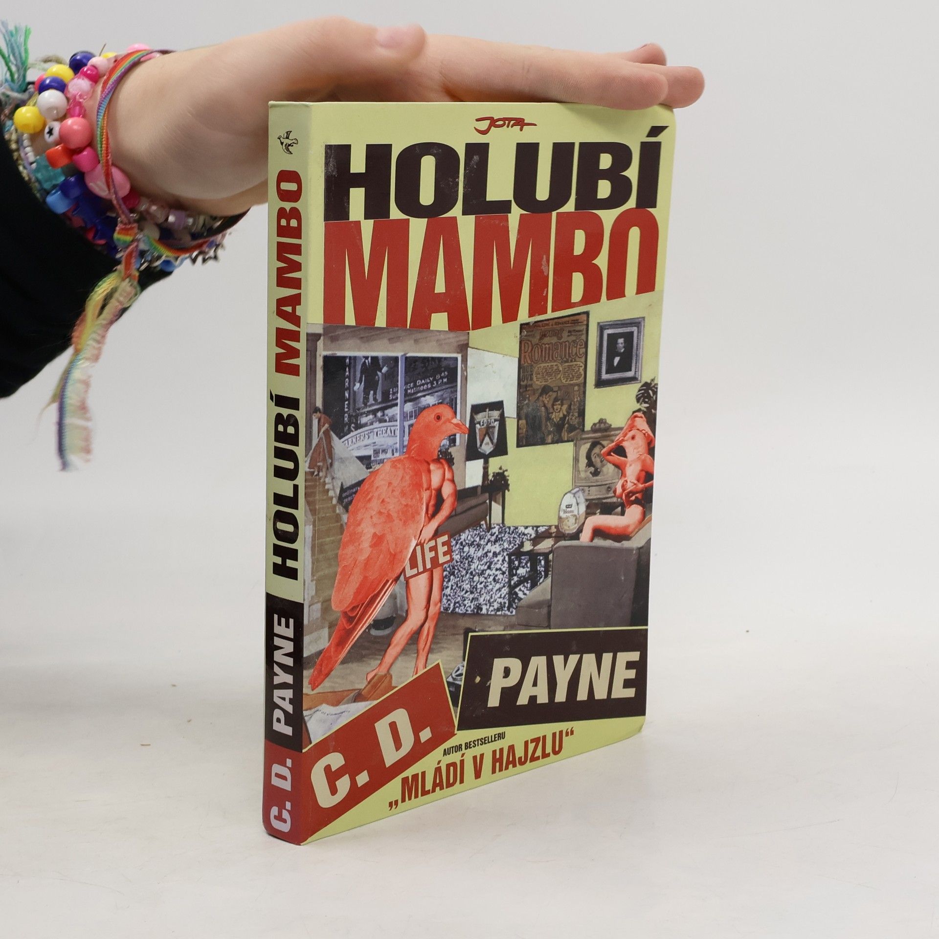 Tamara Váňová Holubí mambo