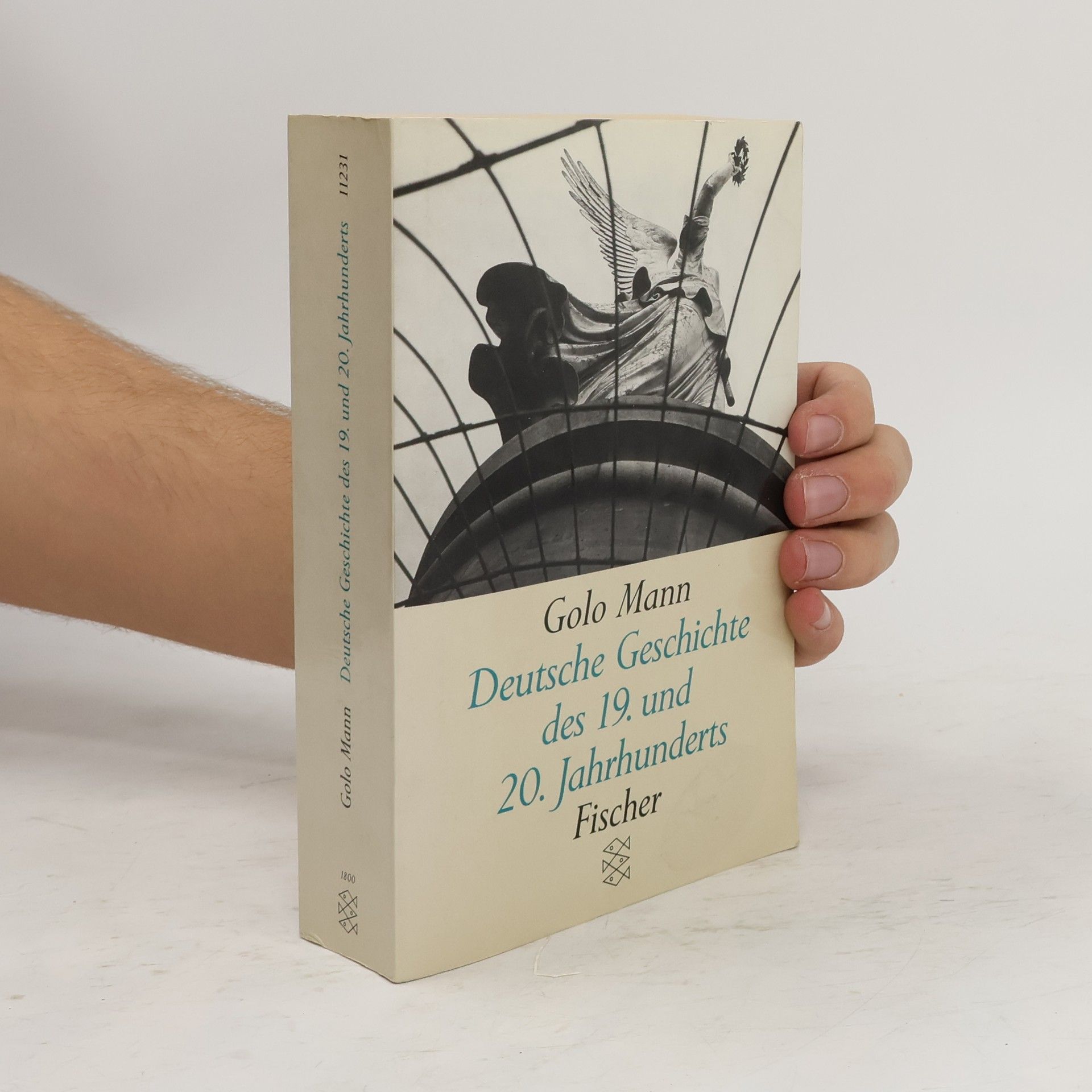Golo Mann Deutsche Geschichte des 19. und 20 Jahrhunderts