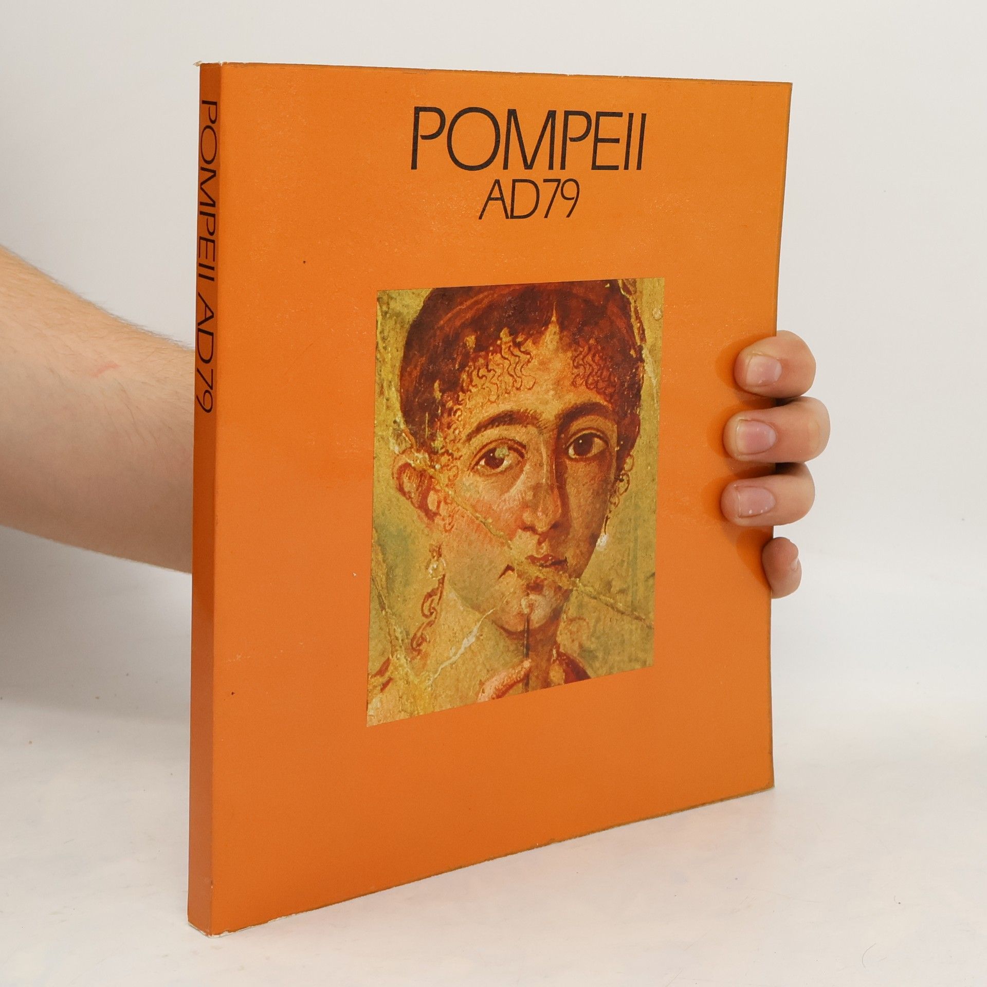 AA.VV. Pompeii AD 79