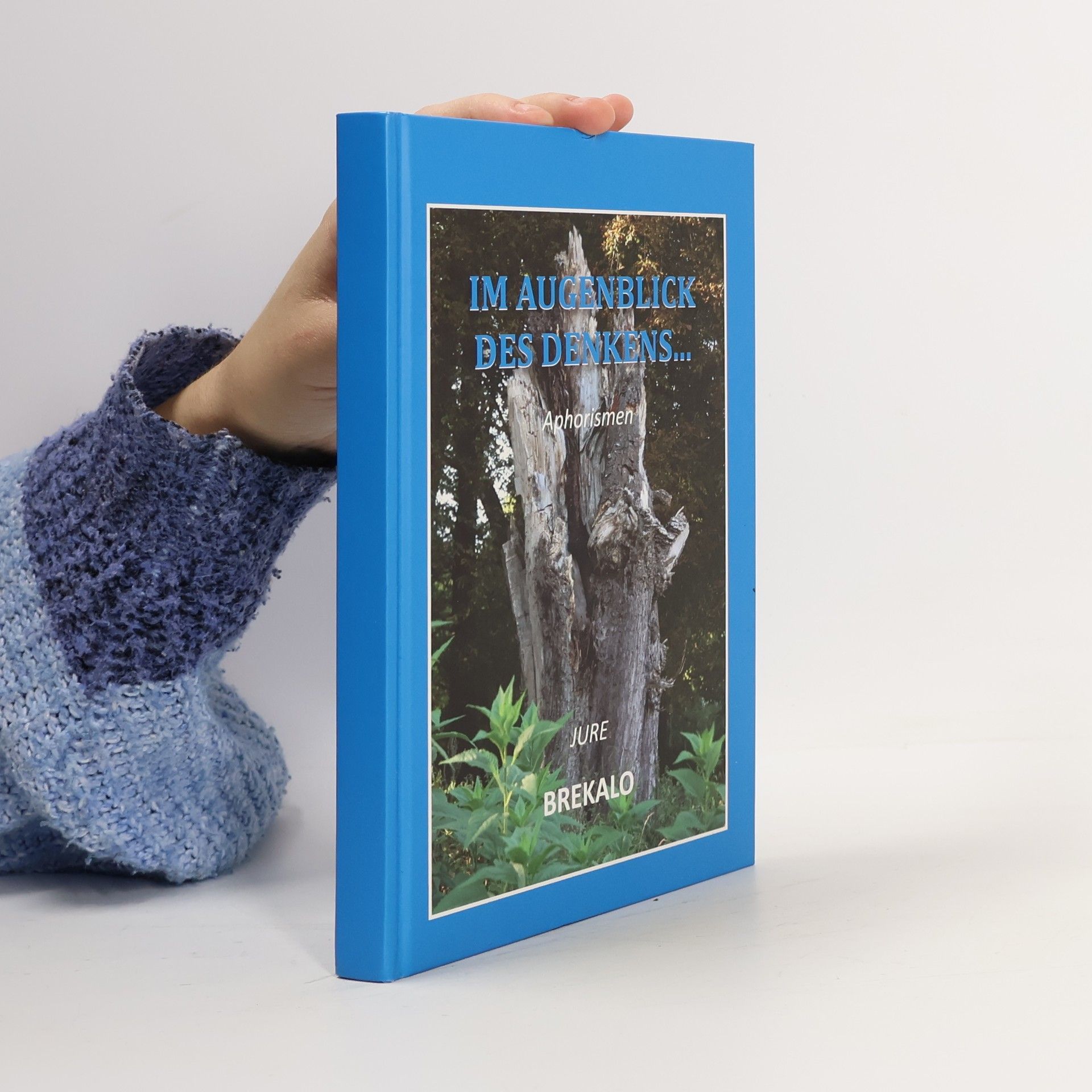 Jure Brekalo Im Augenblick des denkens