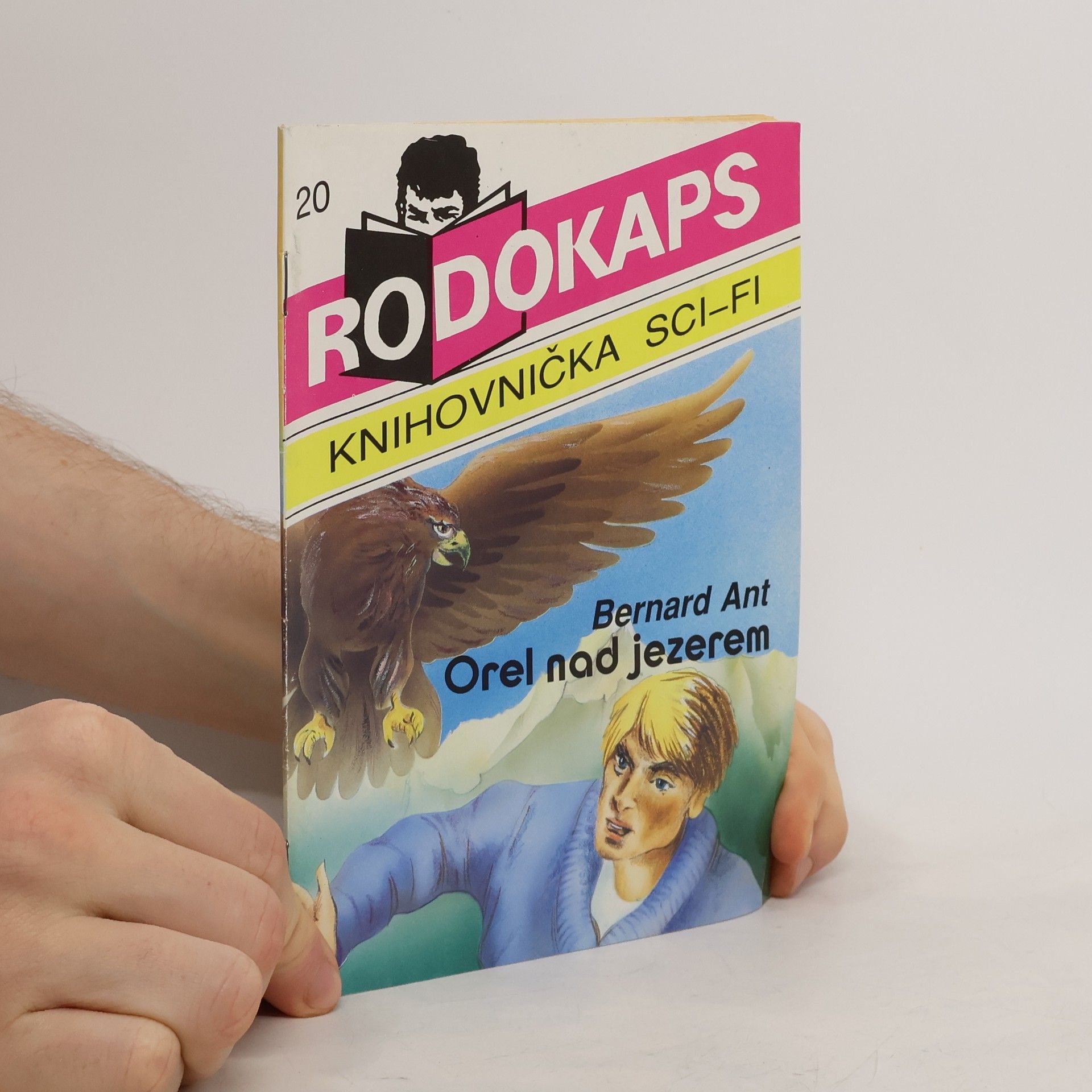 Josef Pecinovský Orel nad jezerem