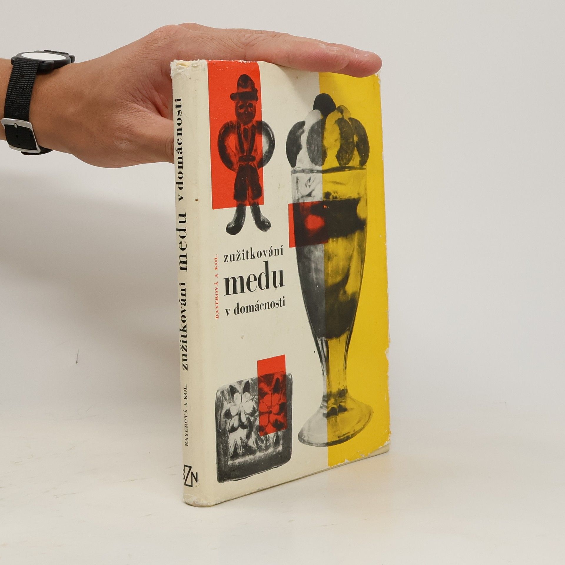 Vlasta Bayerová Zužitkování medu v domácnosti