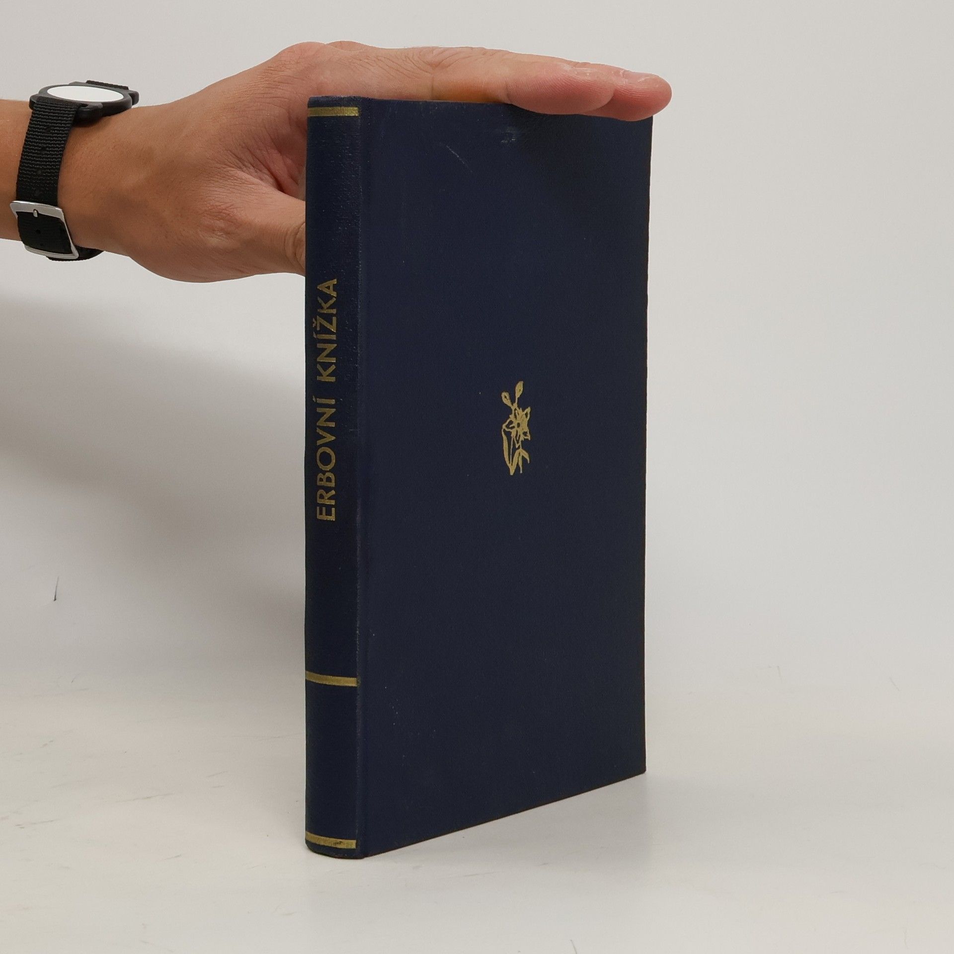 Collectif d'auteurs Erbovní knížka na rok 1941