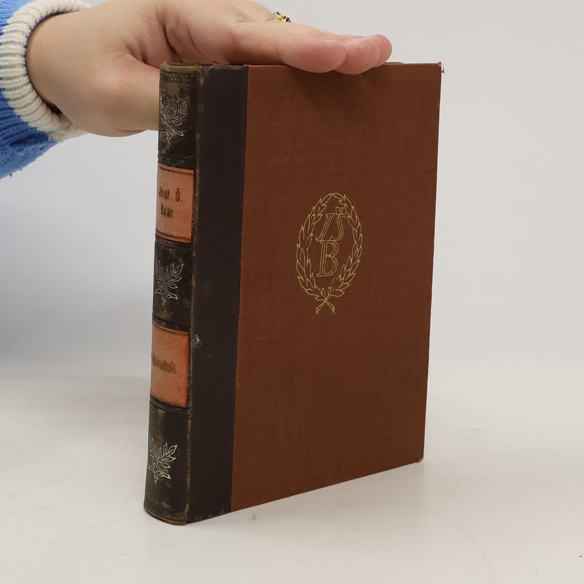 Jindřich Šimon Baar Holoubek. Kněžská idyla. Svazek X