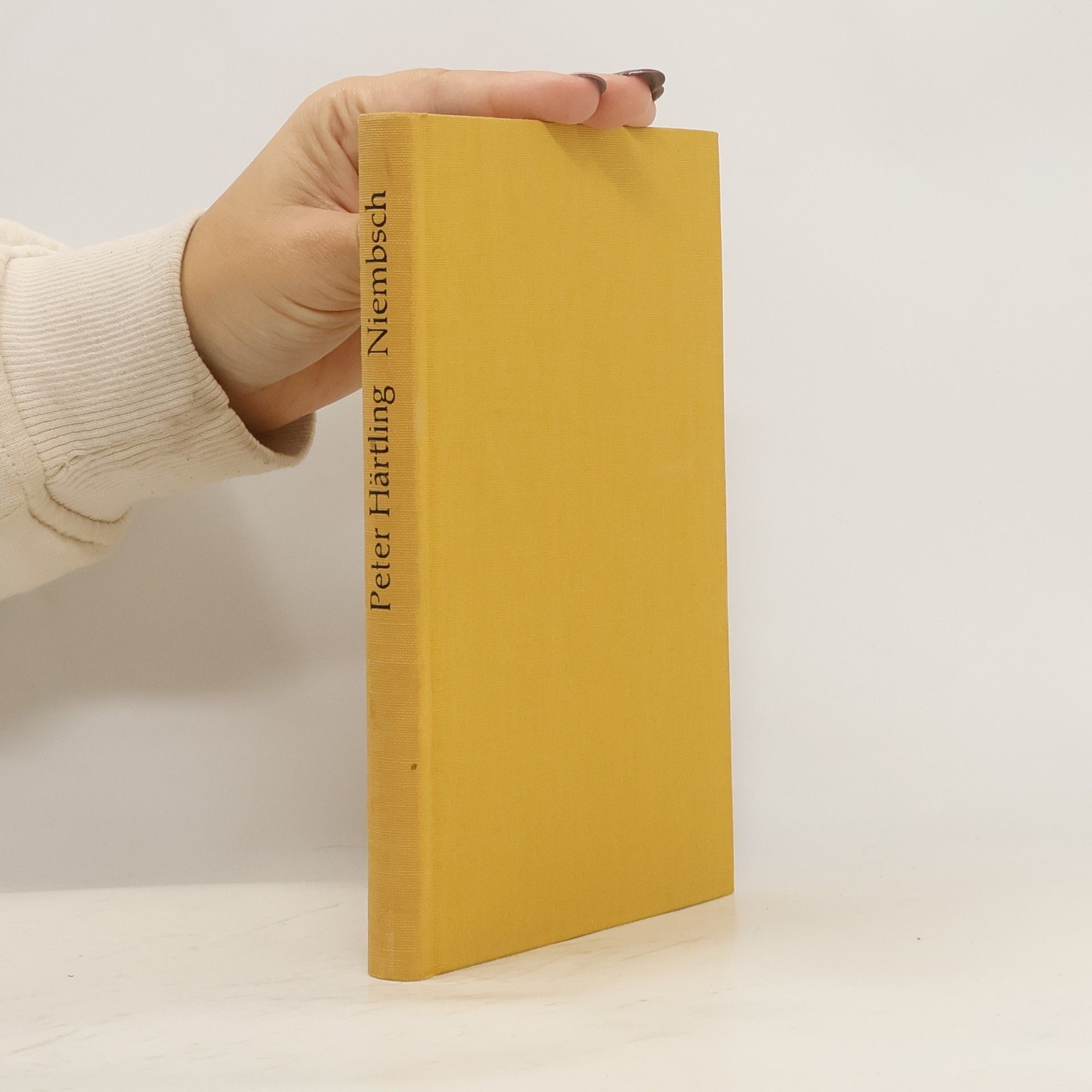 Peter Härtling Niembsch oder Der Stillstand