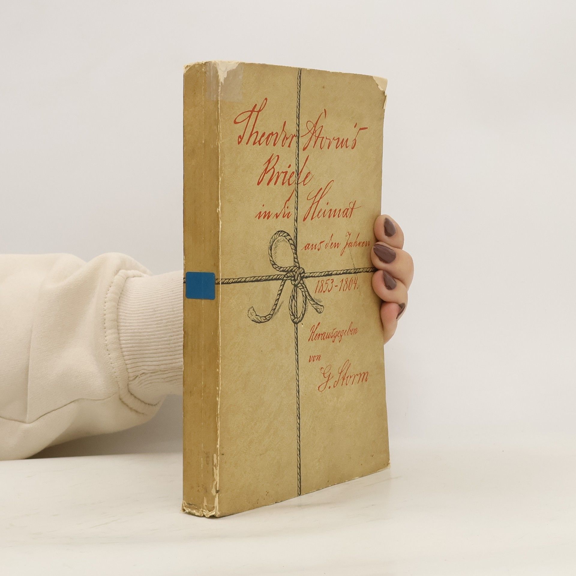 Theodor Storm Theodor Storm's Briefe in die Heimat aus den Jahren 1853–1864