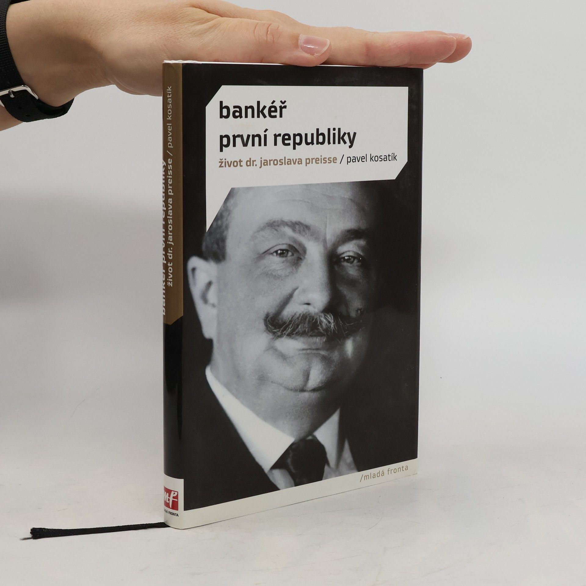 Pavel Kosatík Bankéř první republiky