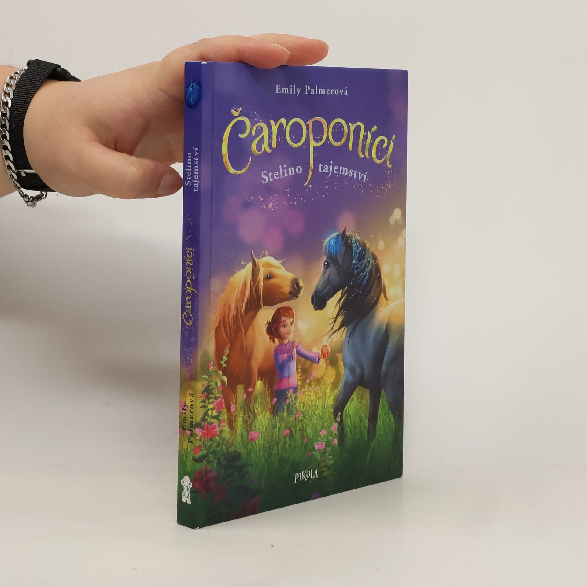 Anne Scheller Stelino tajemství