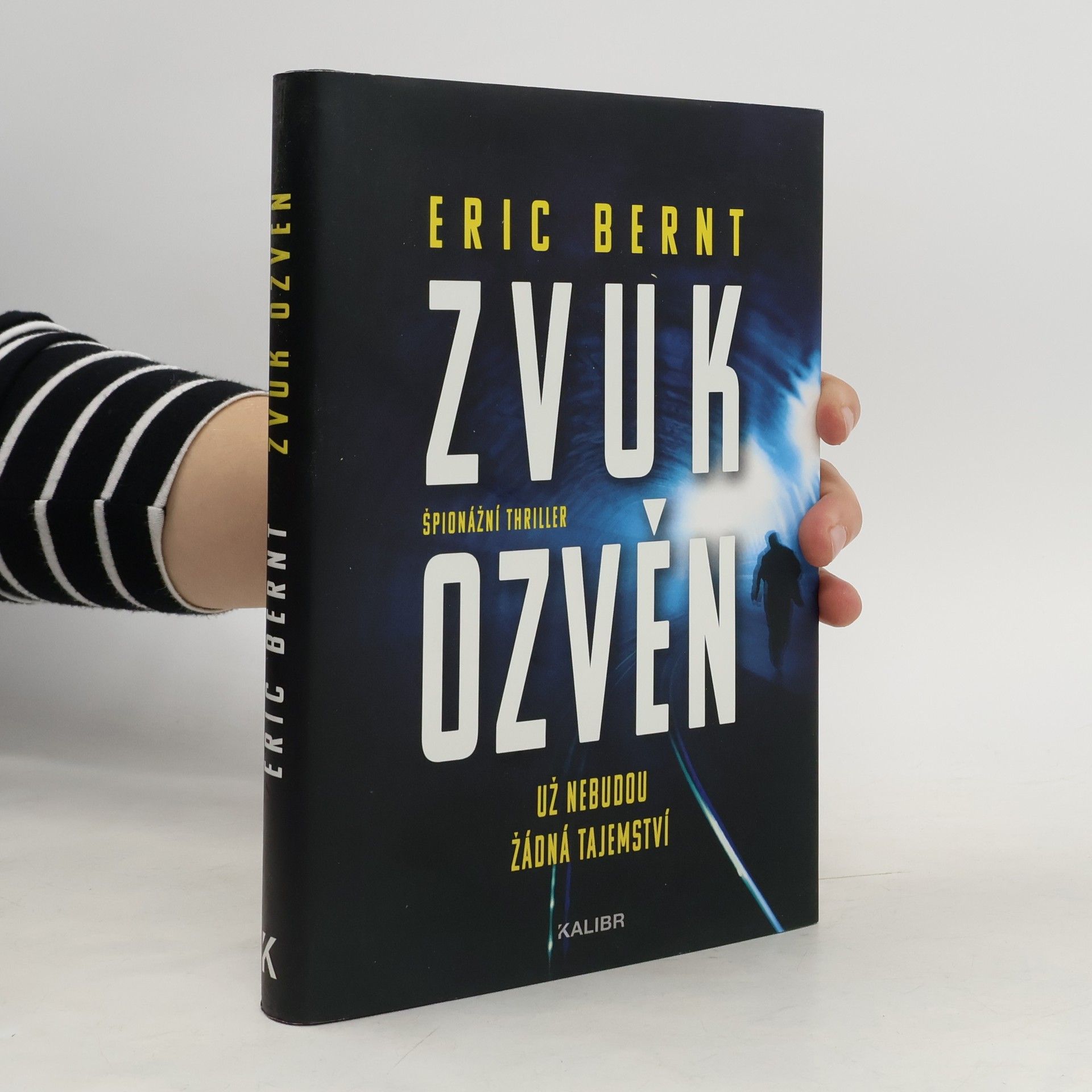 Eric Bernt Zvuk ozvěn