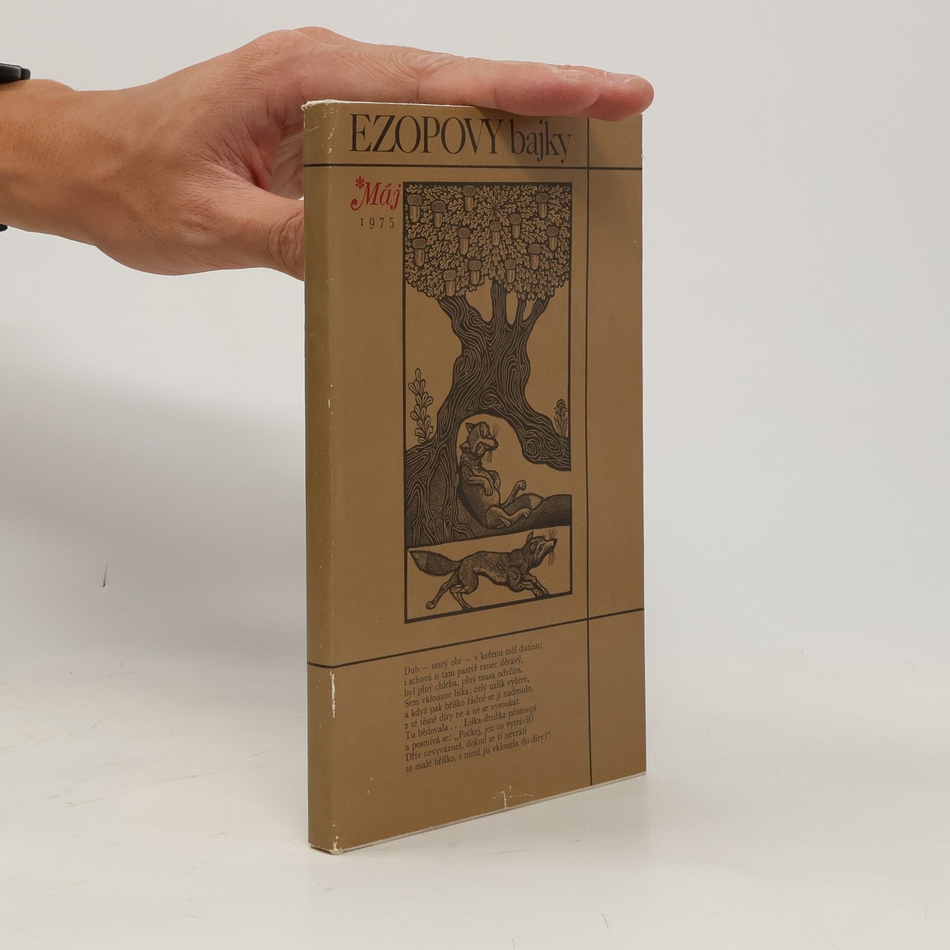 Collectif d'auteurs Ezopovy bajky