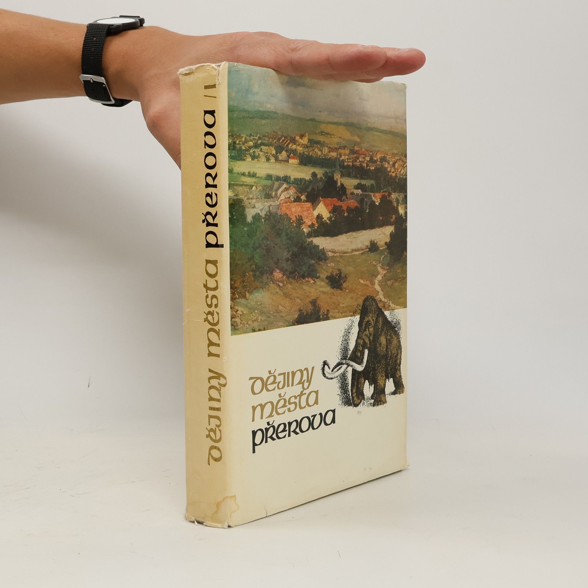 Autores varios Dějiny města Přerova I. díl