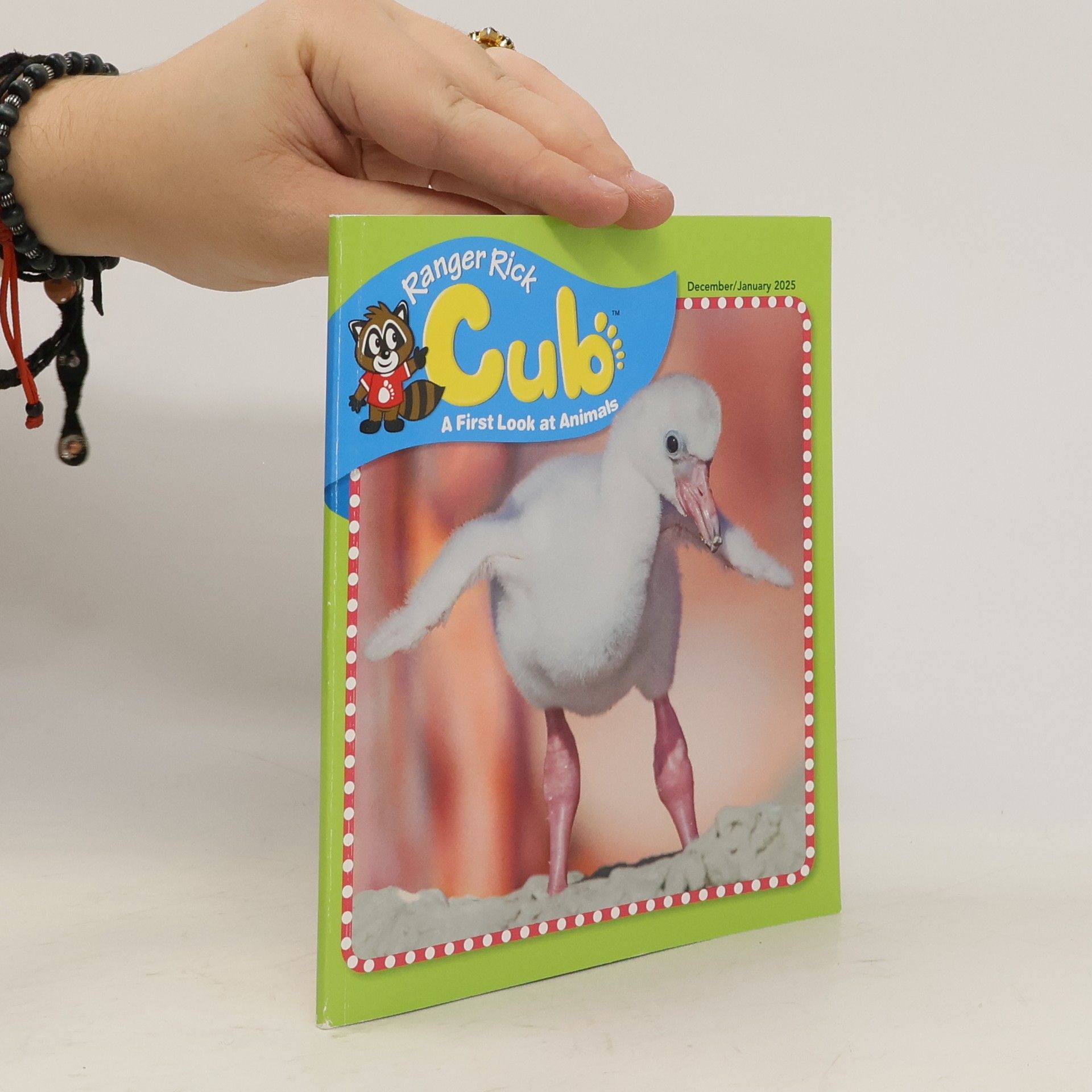 Collectif d'auteurs Ranger Rick Cub vol. 9. A First Look at Animals