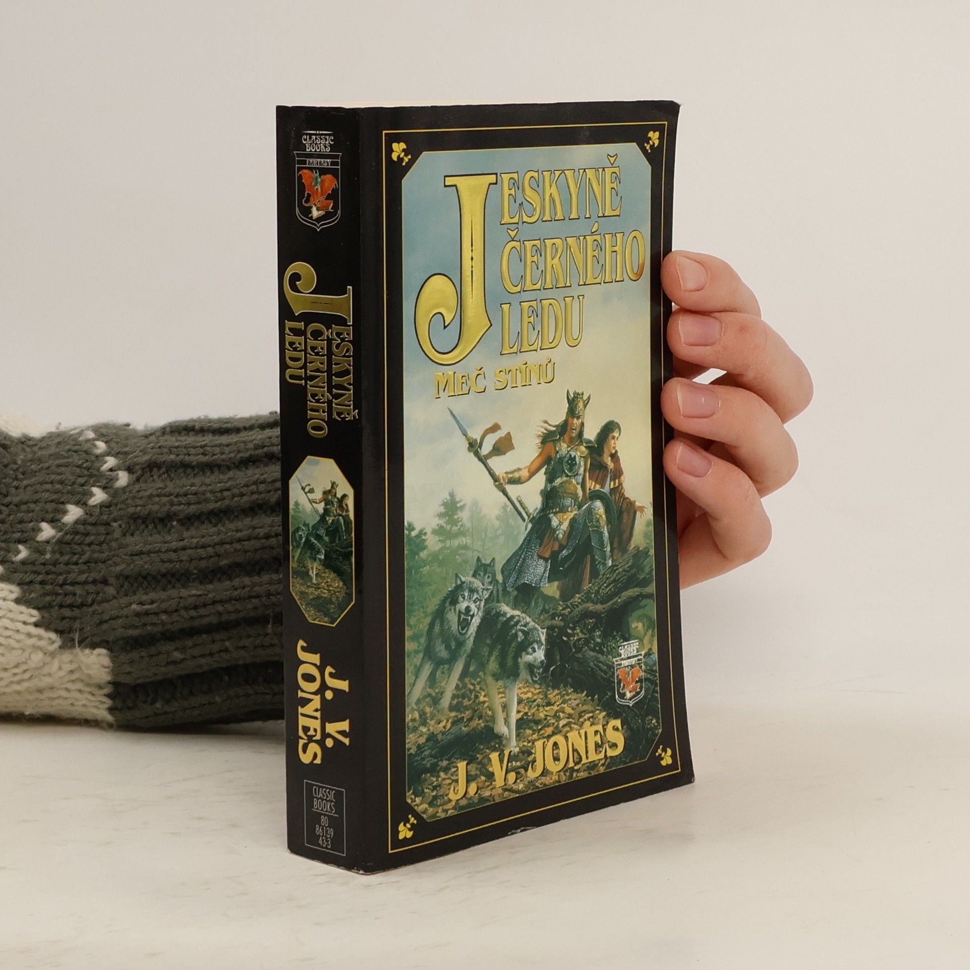 Julie Victoria Jones Jeskyně černého ledu I: Meč stínů