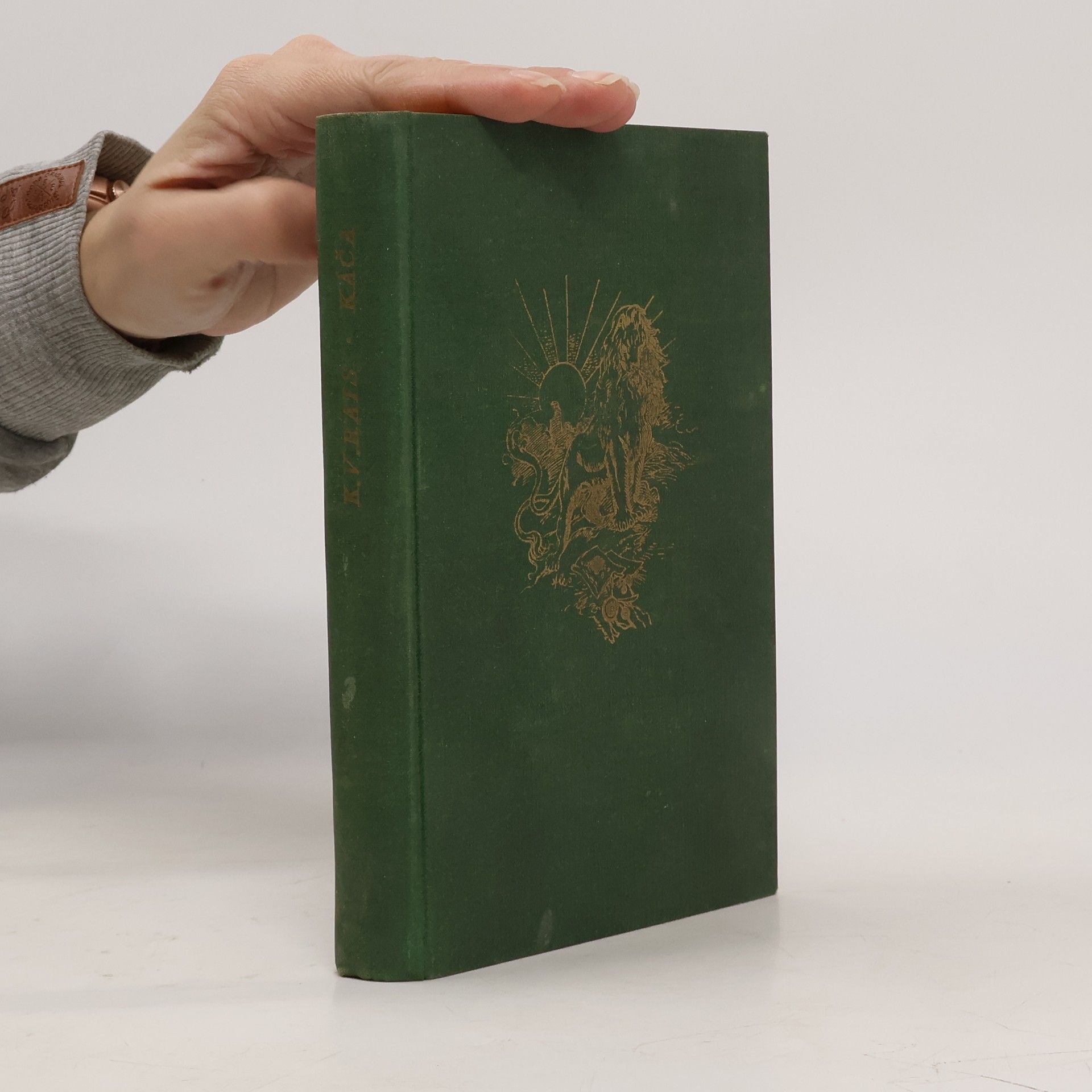 Karel Václav Rais Káča a jiné obrázky. Raisovy spisy 18