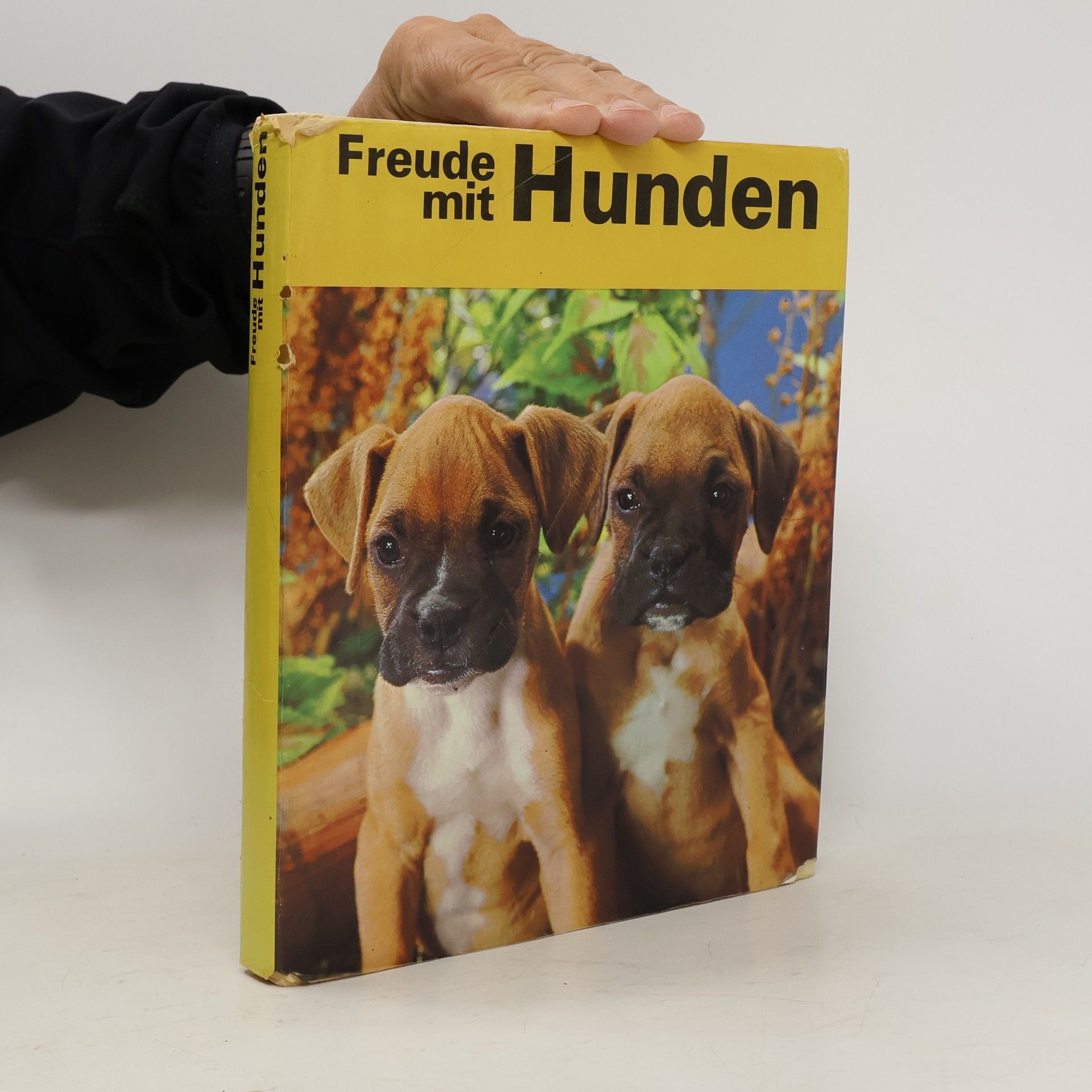 Freude mit Hunden