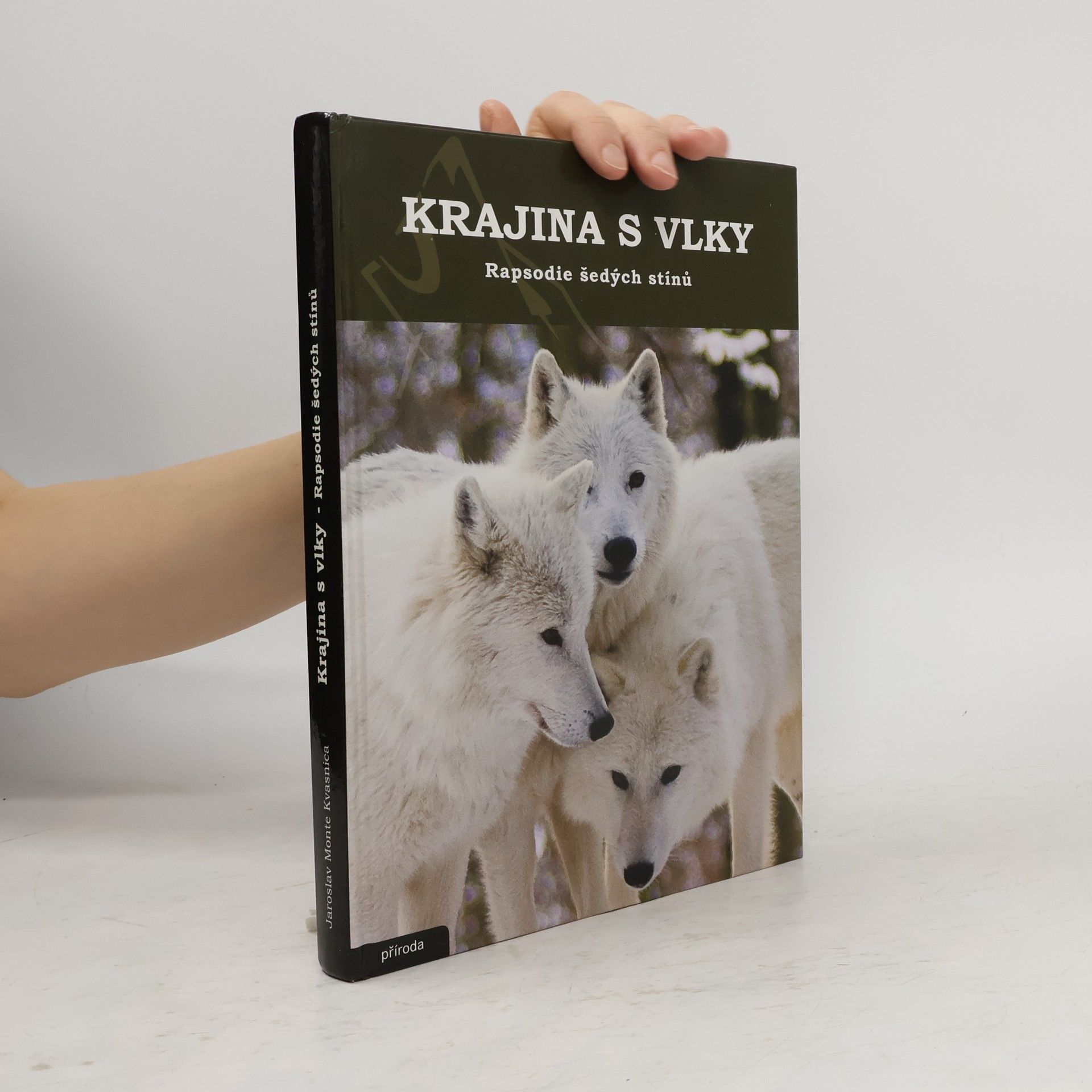 Jaroslav Monte Kvasnica Rapsodie šedých stínů