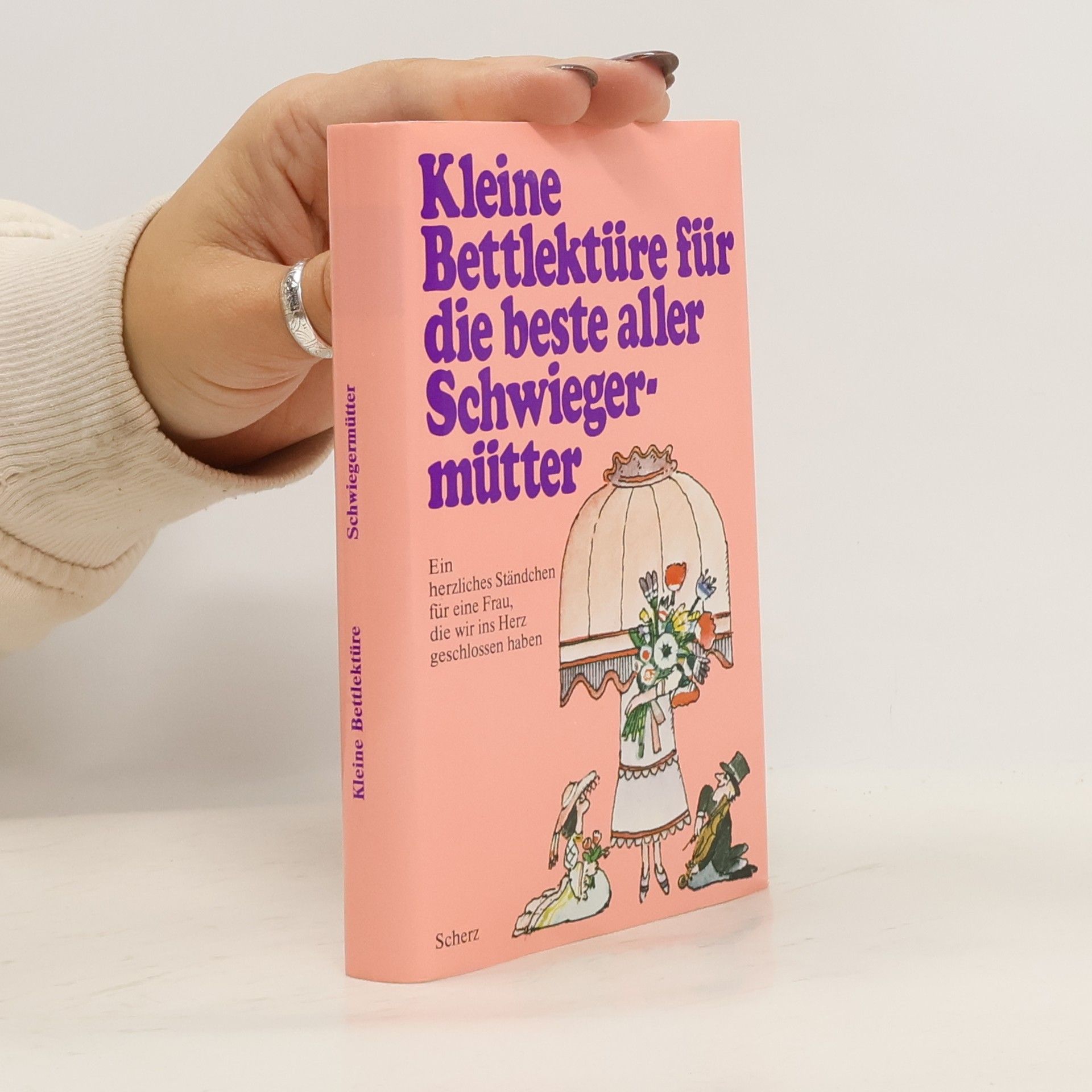 Collectif d'auteurs Kleine Bettlektüre für die beste aller Schwiegermütter
