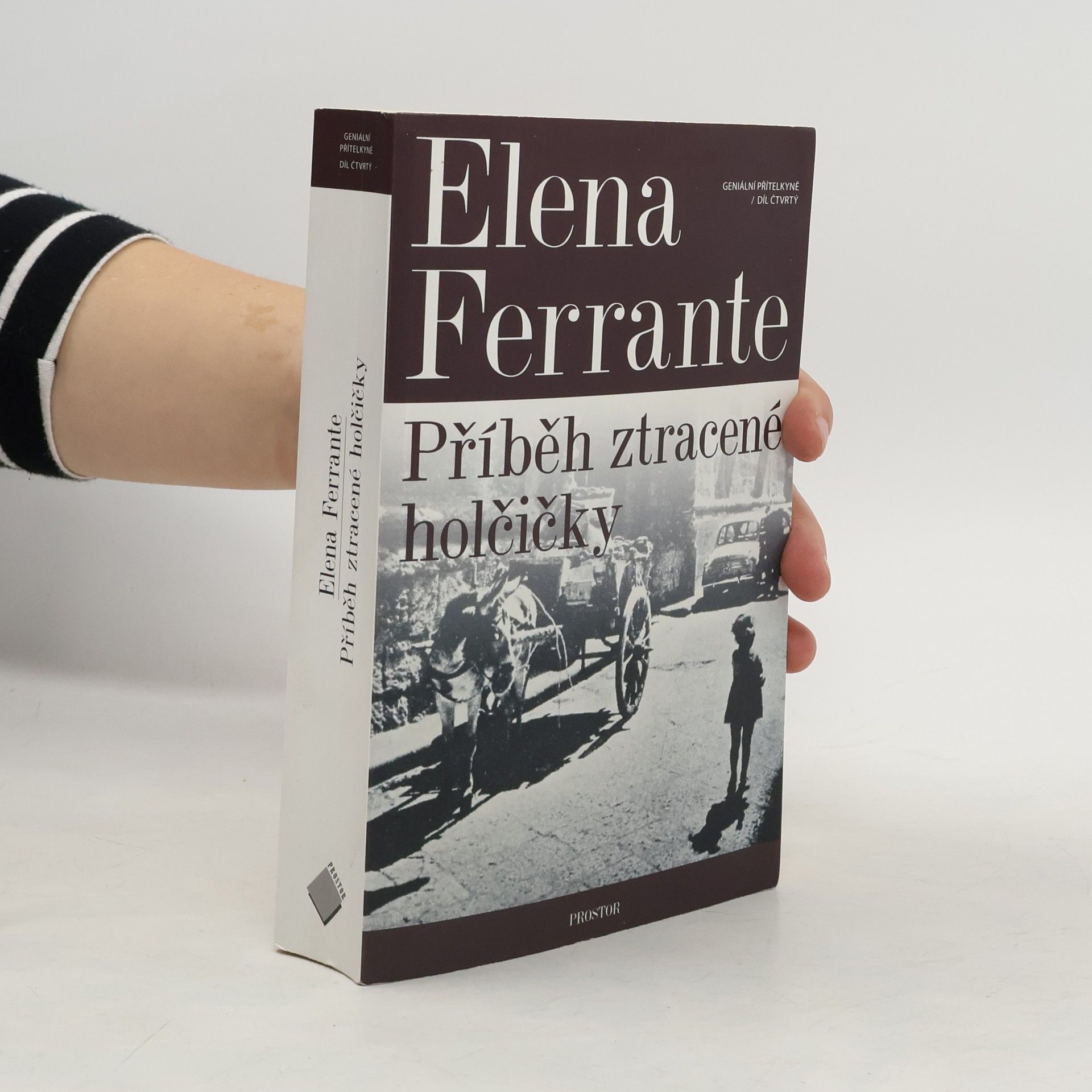 Elena Ferrante Příběh ztracené holčičky. Geniální přítelkyně. 4. díl