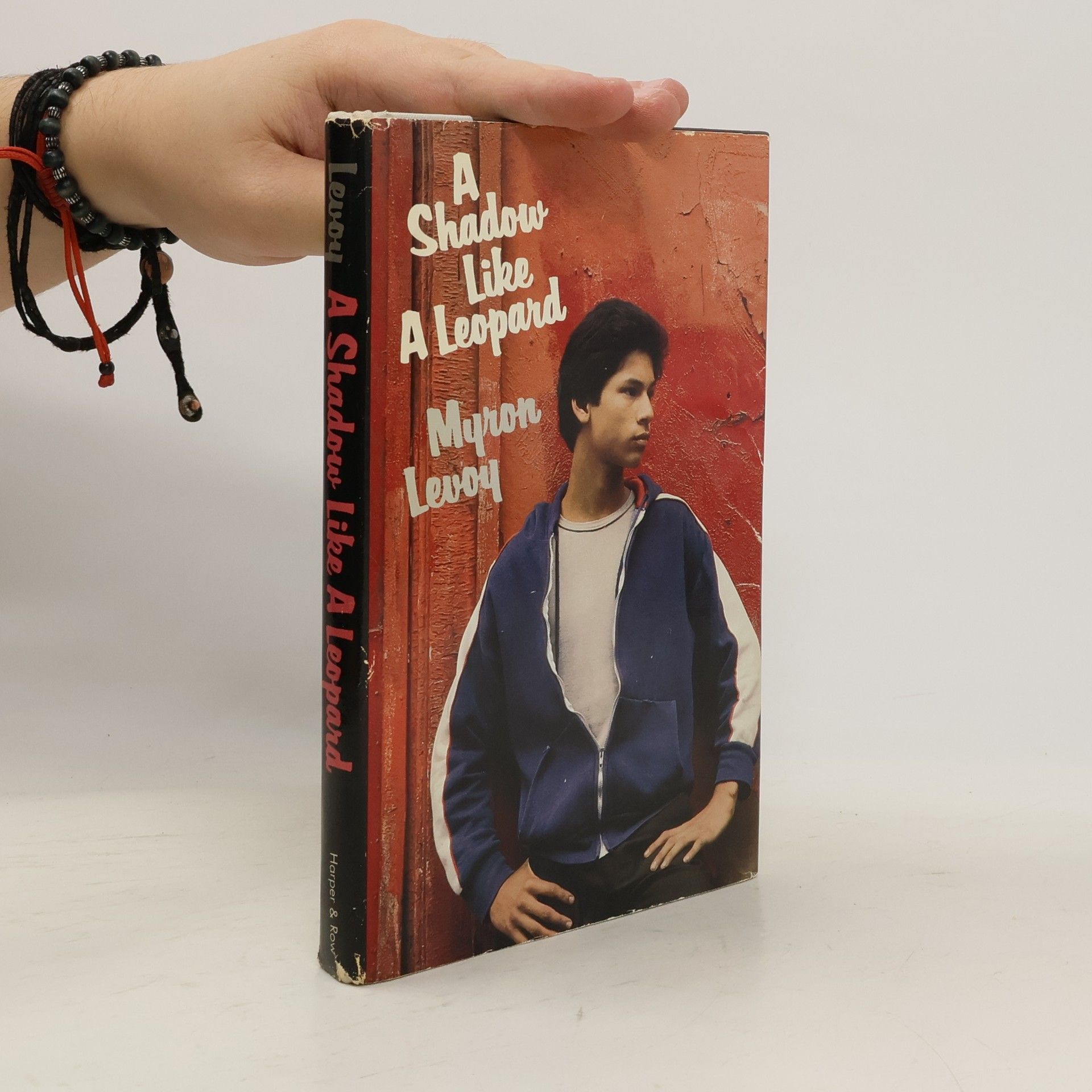 Myron Levoy A Shadow Like a Leopard