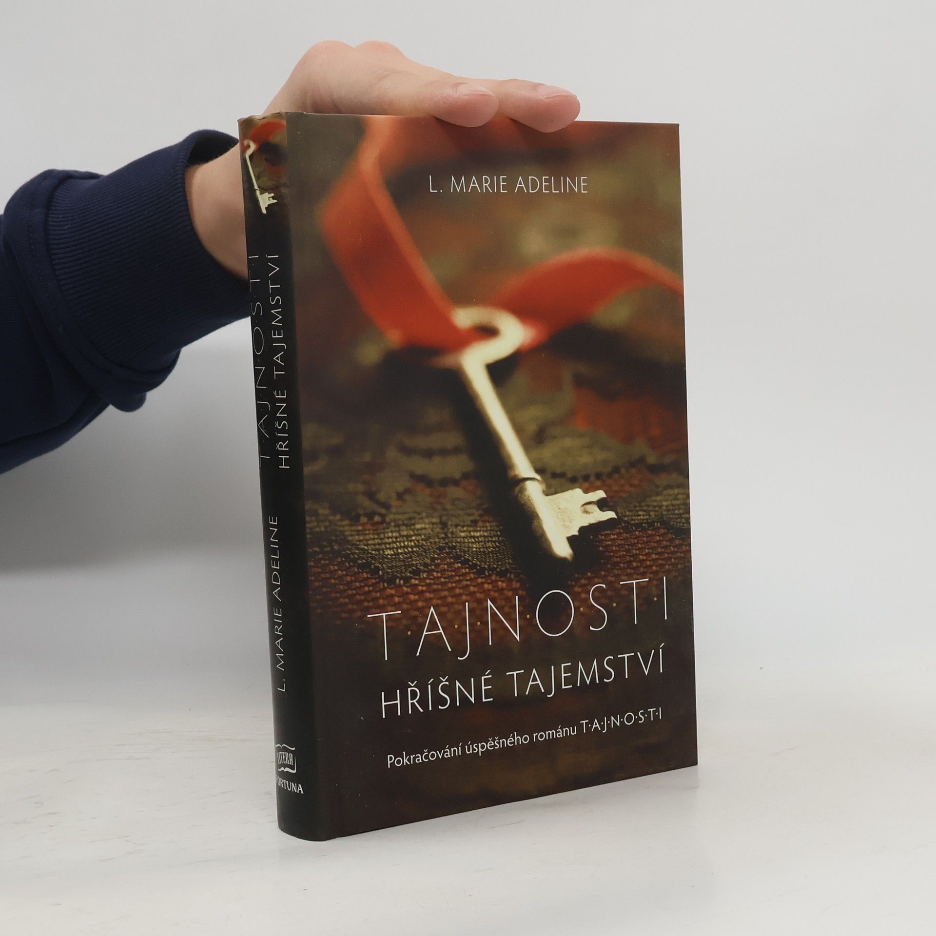 T.A.J.N.O.S.T.I. Hříšné tajemství